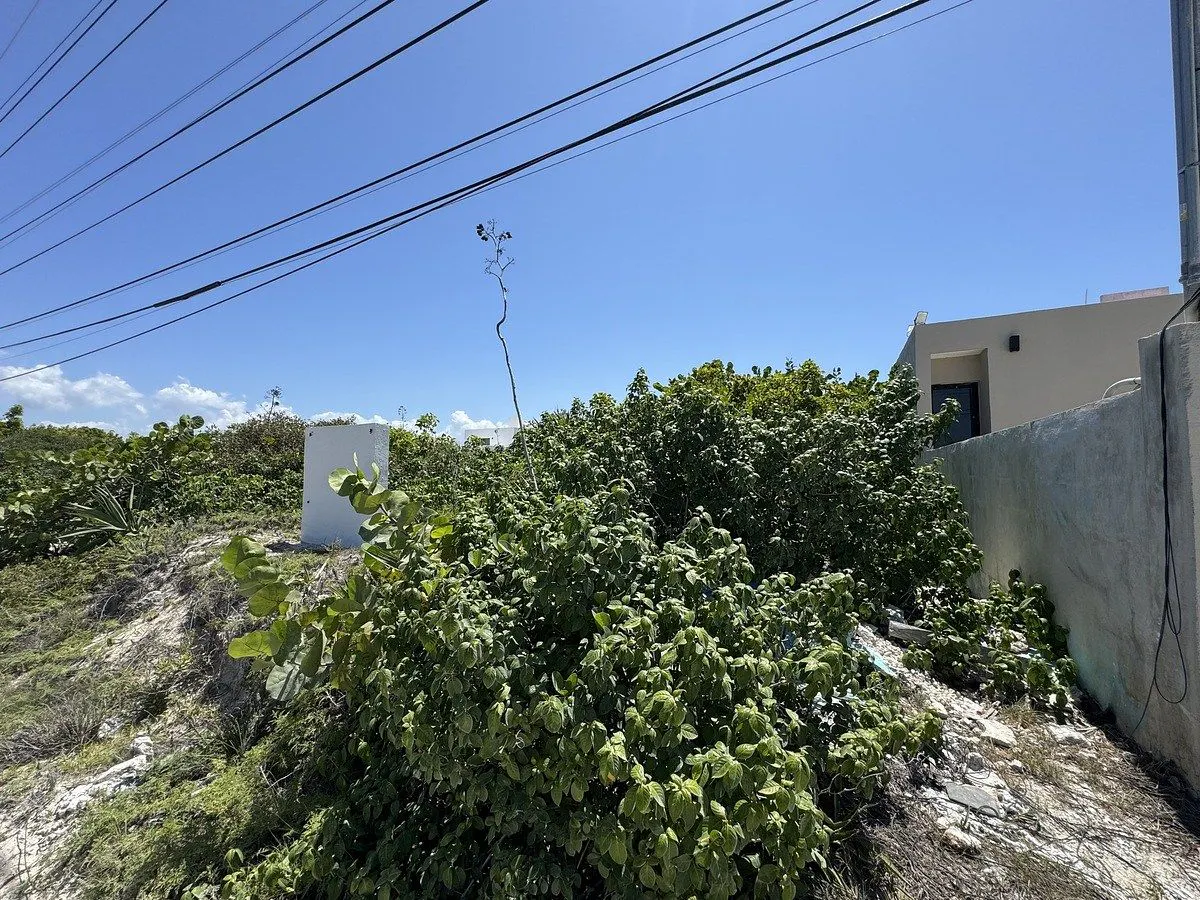 Terreno Spot2
