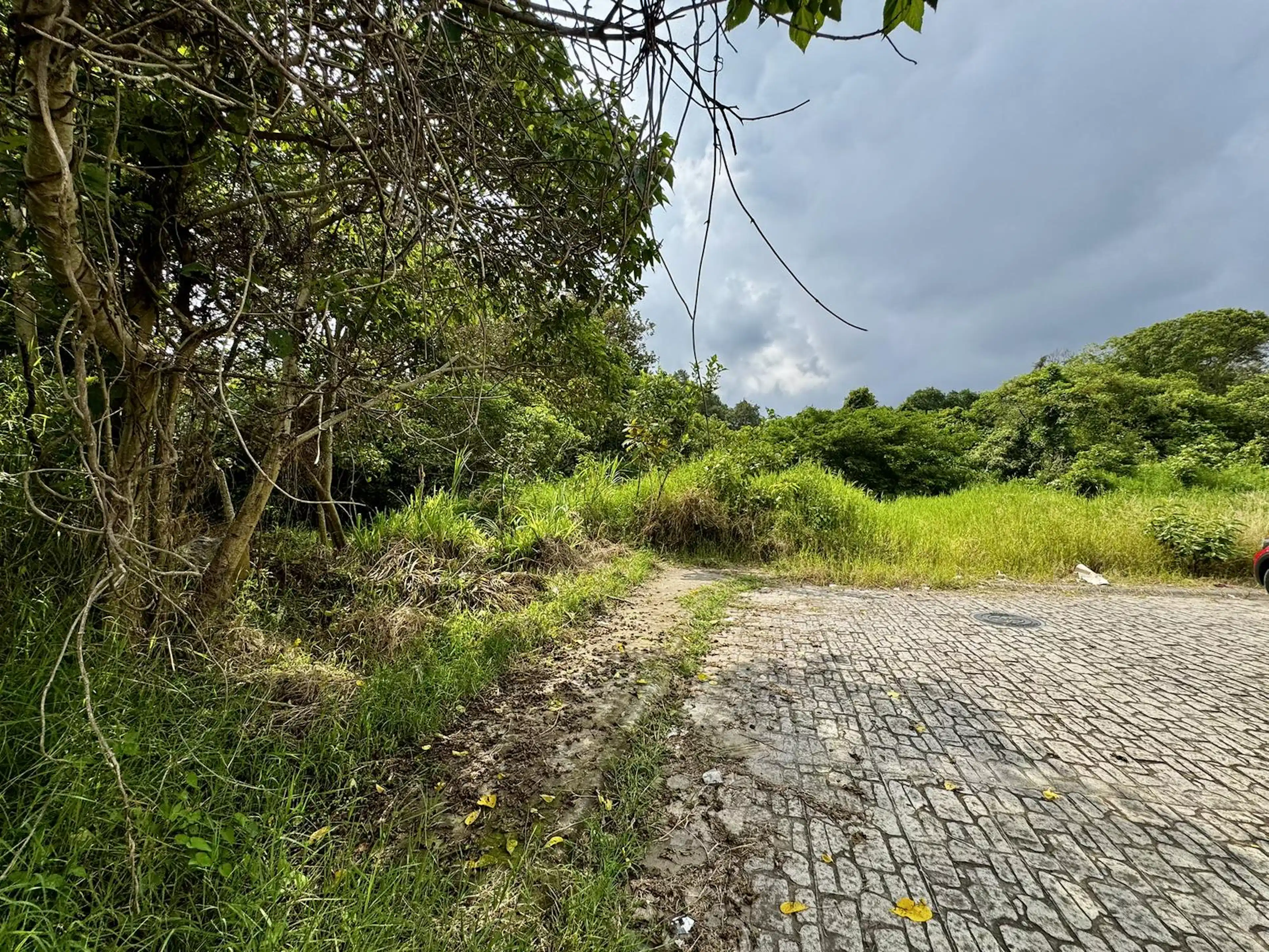 Terreno En Fracc. La Finca Zona Pedregal De Las Animas Xalapa