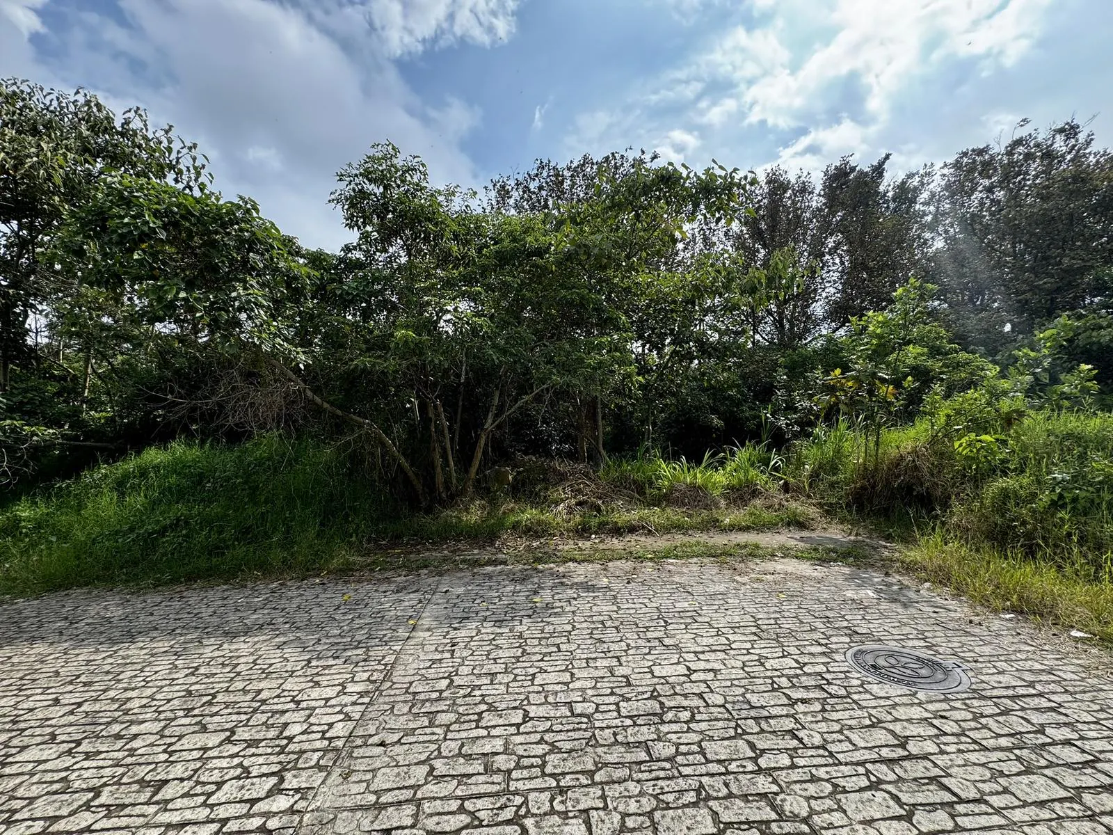 Terreno Spot2