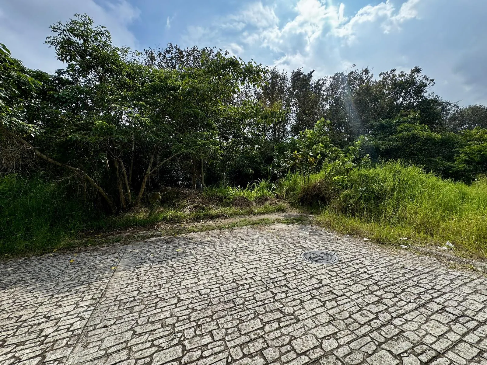 Terreno Spot2