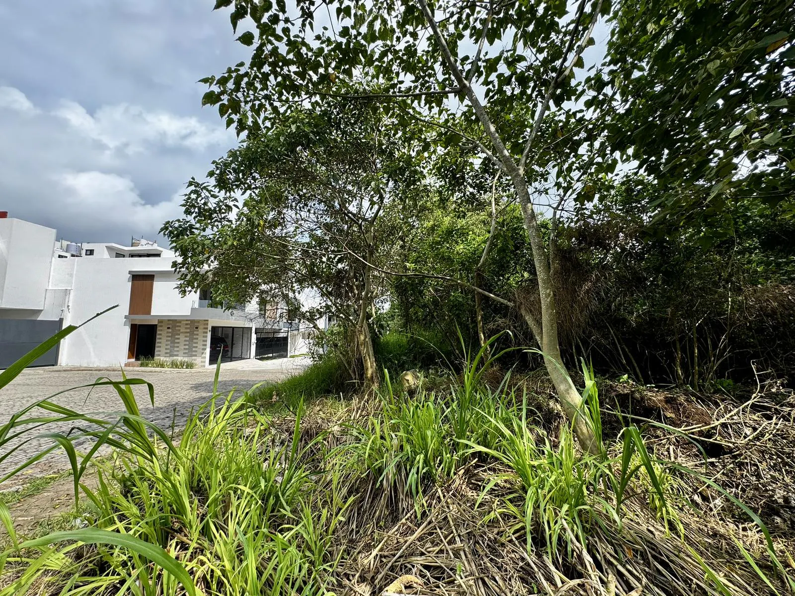 Terreno Spot2