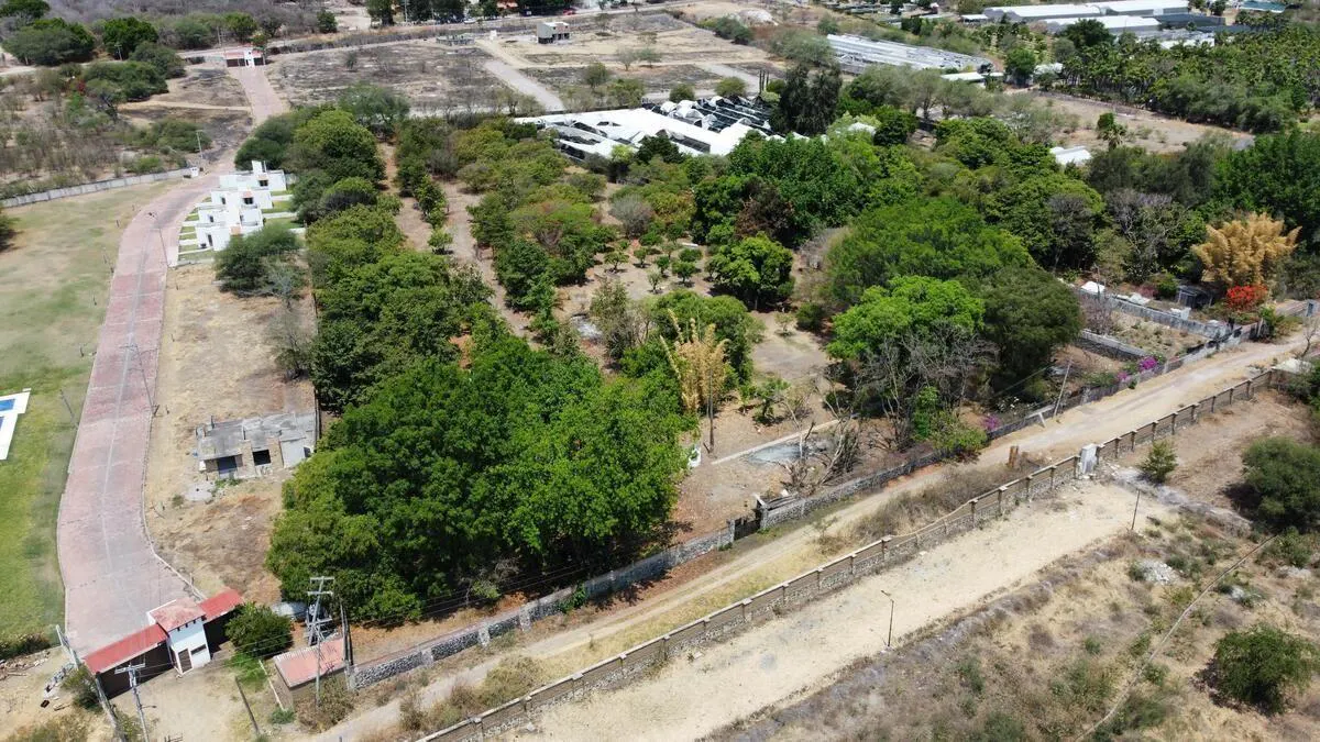 Terreno Spot2