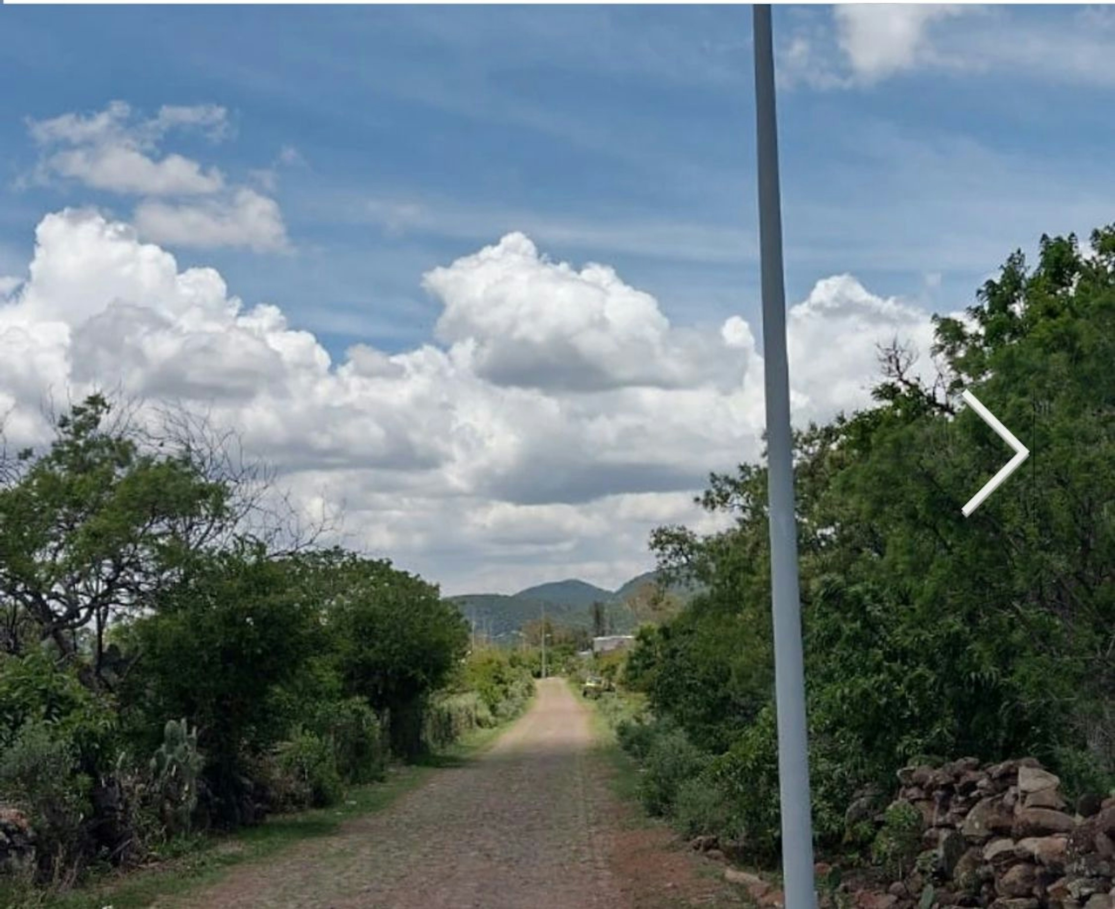 Imagen muestra un camino rural con vegetación a los lados, cielo nublado y un poste en primer plano. Ideal para desarrollo inmobiliario rural o agrícola.