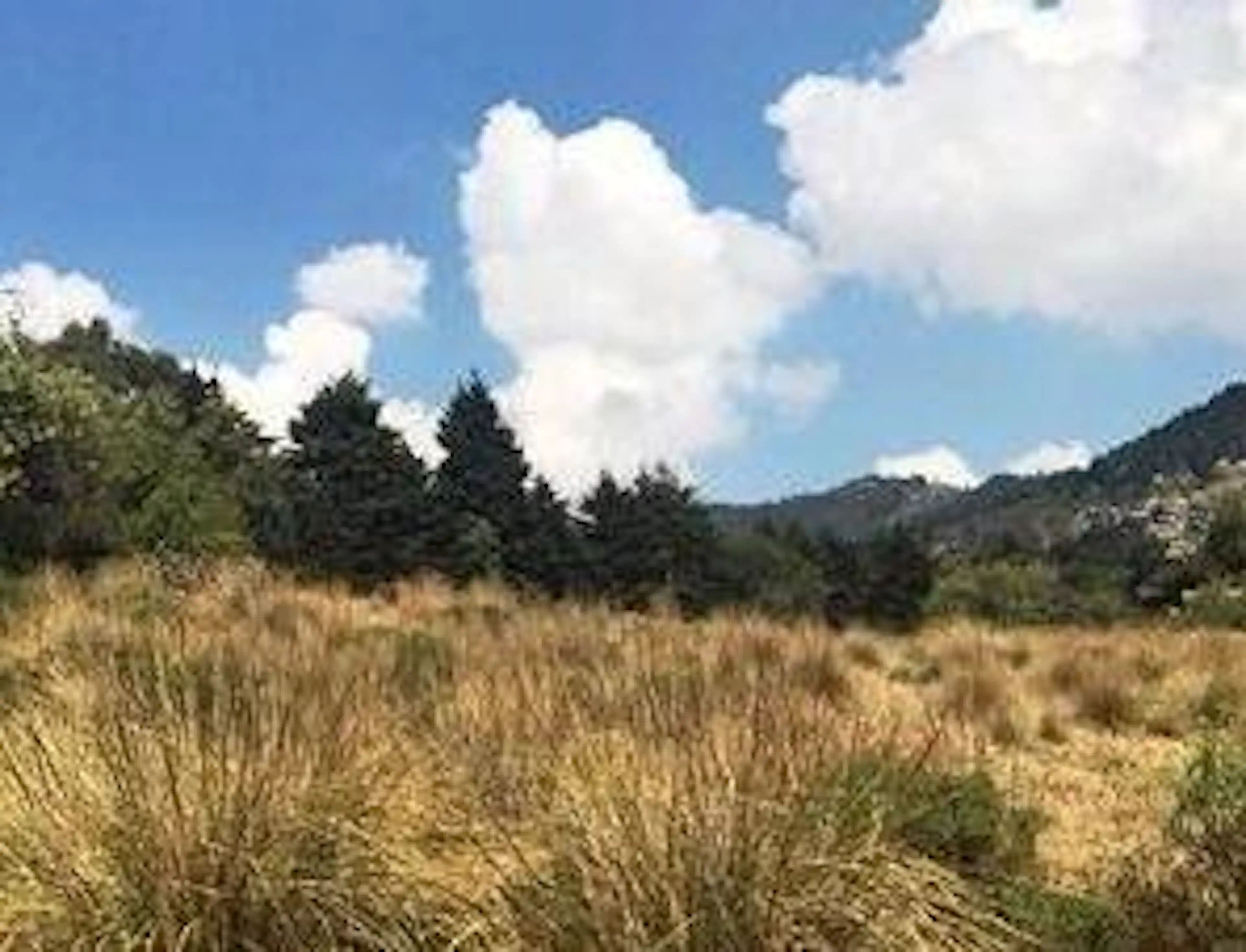 VENTA TERRENO A 5 MINUTOS DEL RESTAURANTE LAS CABALLERIZAS HUIXQUILUCAN