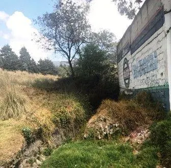 Terreno Spot2