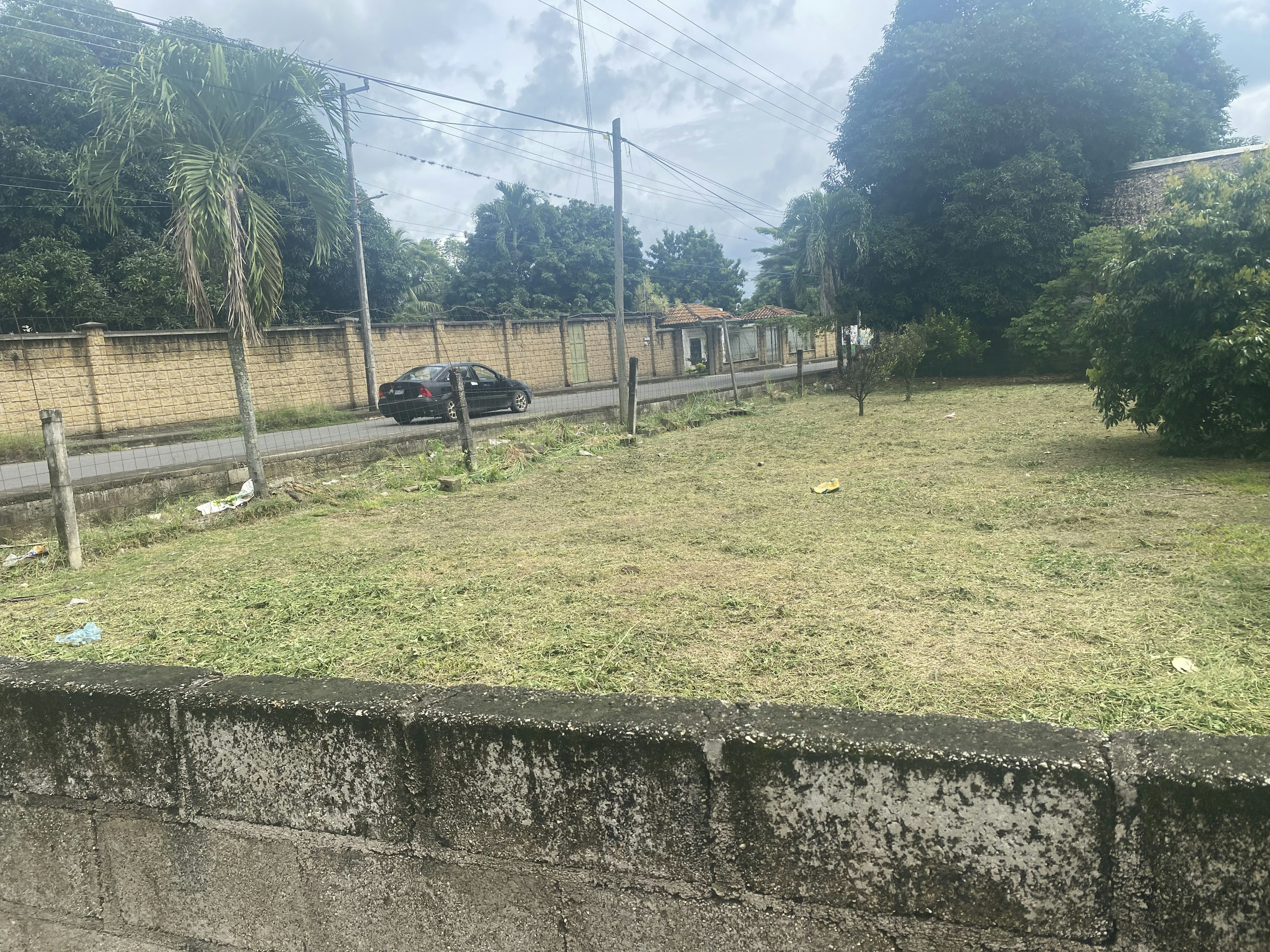 La imagen muestra un terreno baldío en una zona residencial tropical. Se ve una calle con un muro de concreto y una valla, con un automóvil estacionado. Hay palmeras y vegetación abundante, típico de un clima cálido. El terreno parece descuidado, con hierba crecida y algunos escombros, sugiriendo potencial para desarrollo o mejora inmobiliaria.