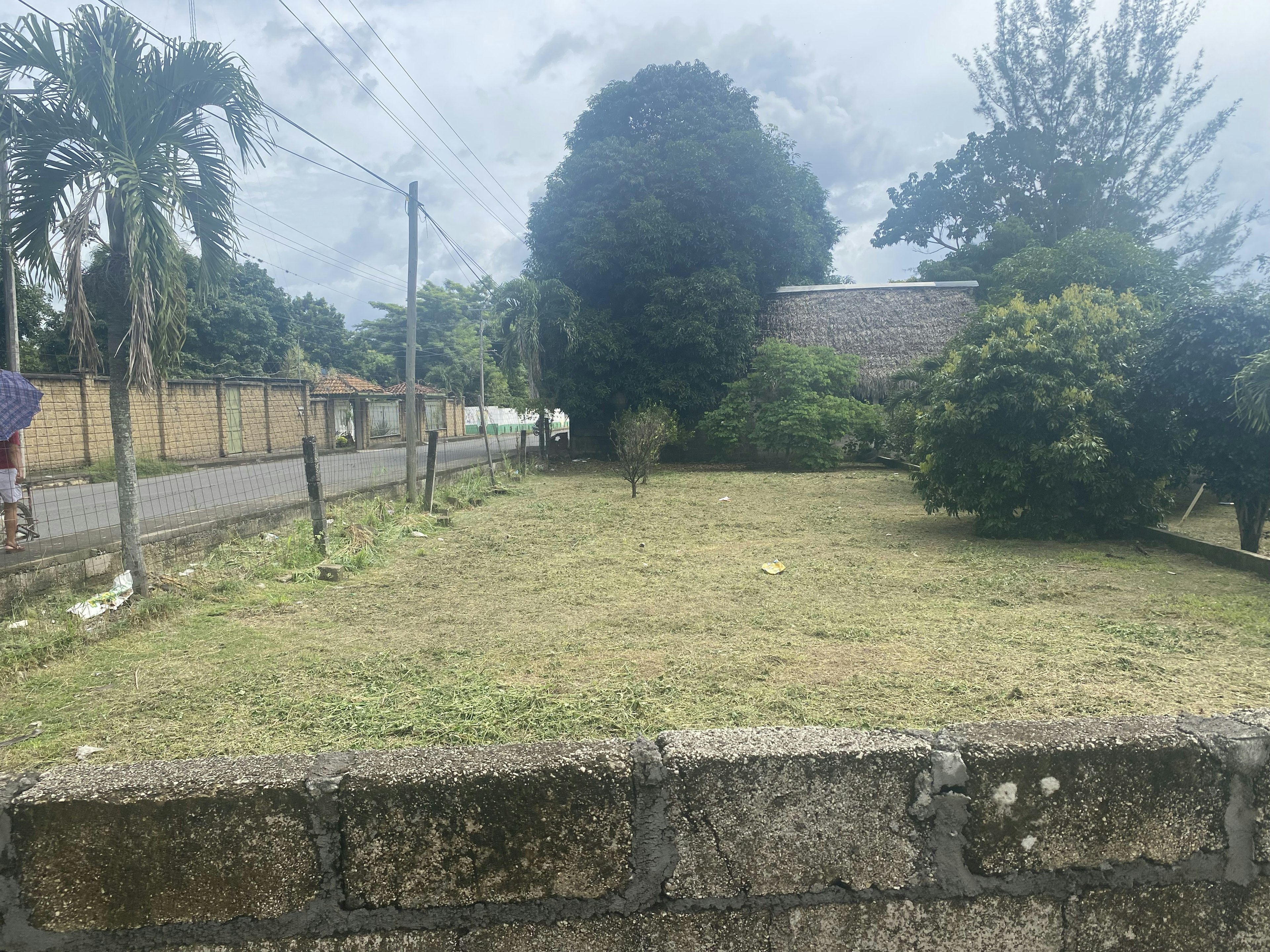 La imagen muestra un terreno baldío en una zona suburbana o rural. Se ve un área de césped rodeada de árboles y vegetación tropical, incluyendo palmeras. Hay una calle pavimentada con postes eléctricos y una cerca al fondo. Se observa un muro de concreto en primer plano, sugiriendo que el terreno está delimitado. El cielo está nublado, dando un ambiente tropical húmedo. El terreno parece tener potencial para desarrollo inmobiliario.