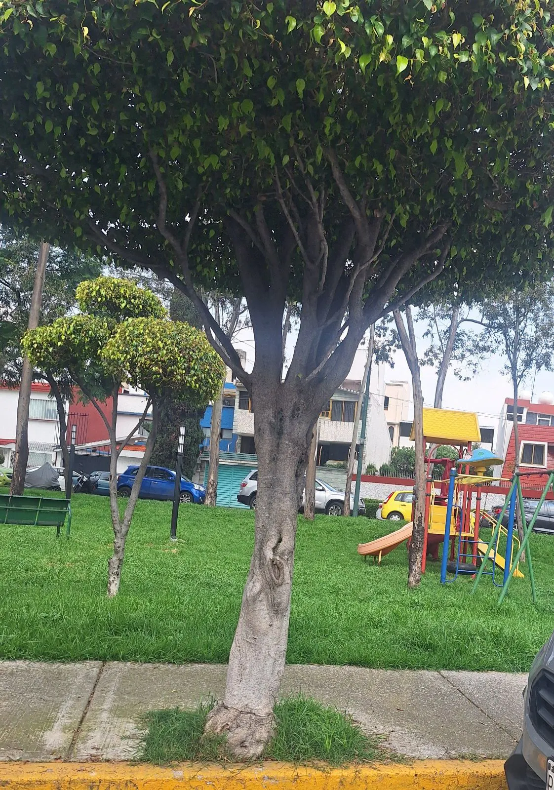 Terreno Spot2