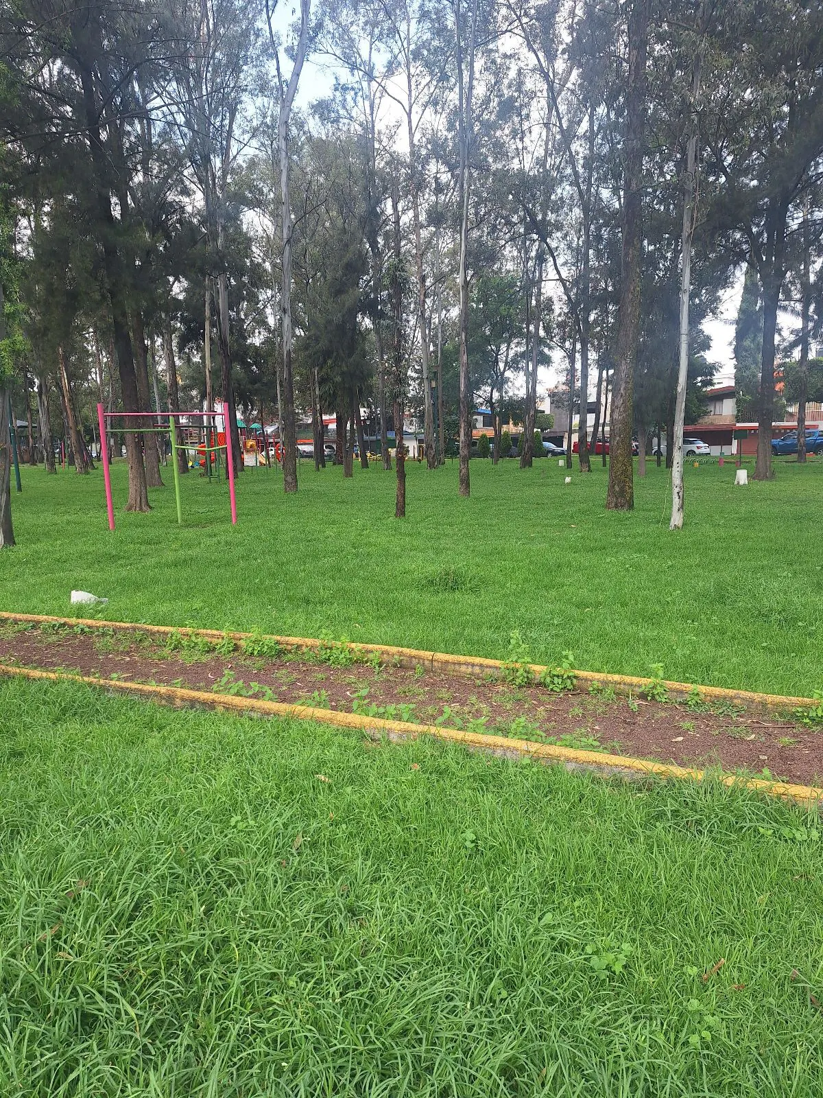 Terreno Spot2