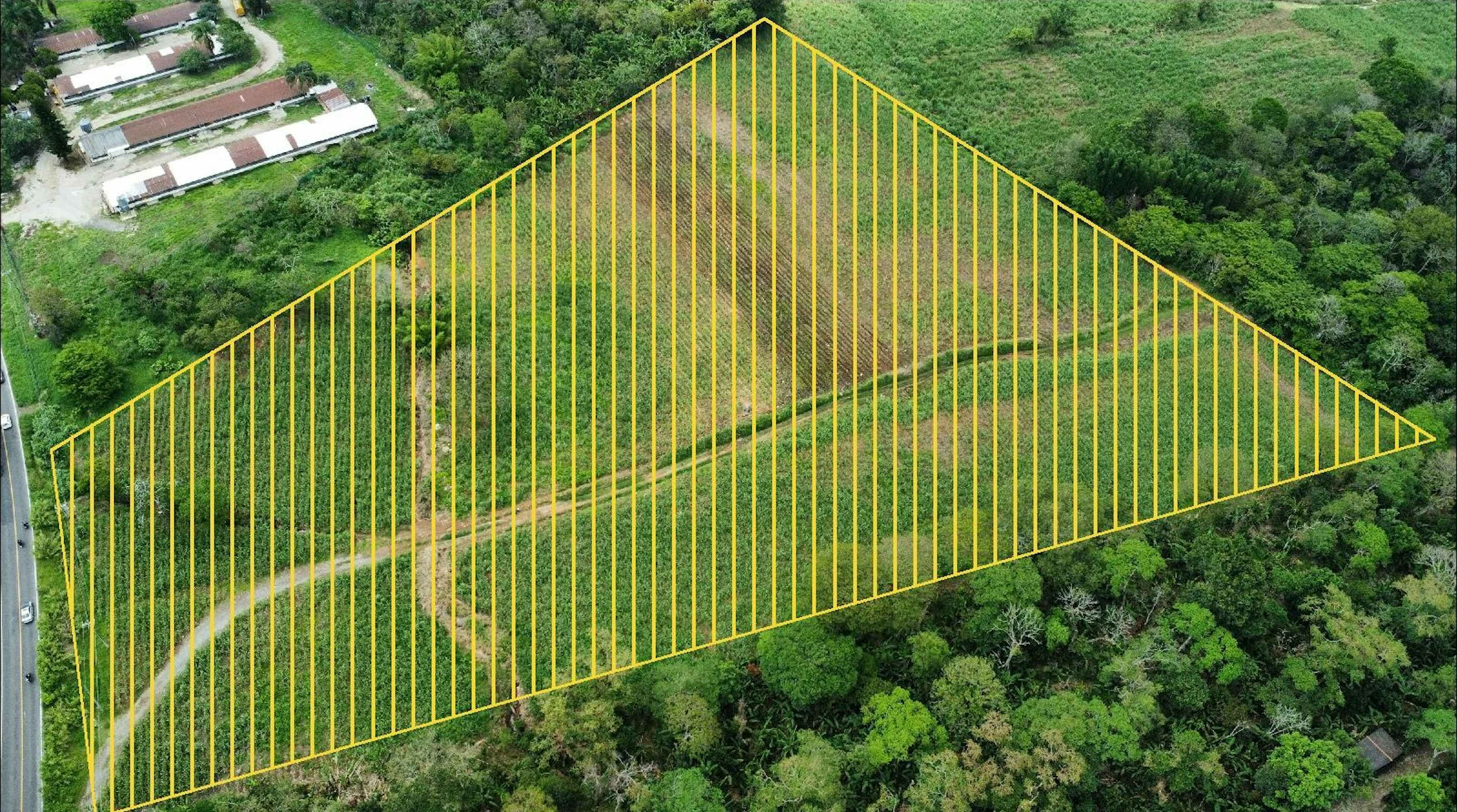 Terreno 4 Hectáreas - Monte Salas, Ver