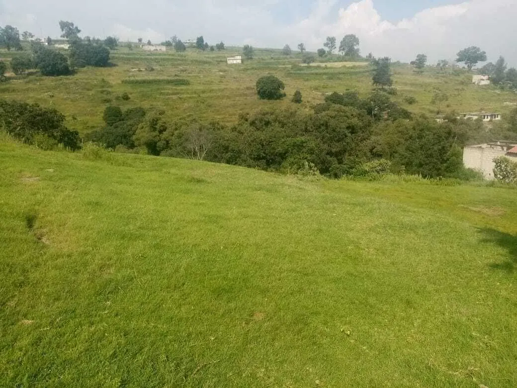 Terreno Spot2