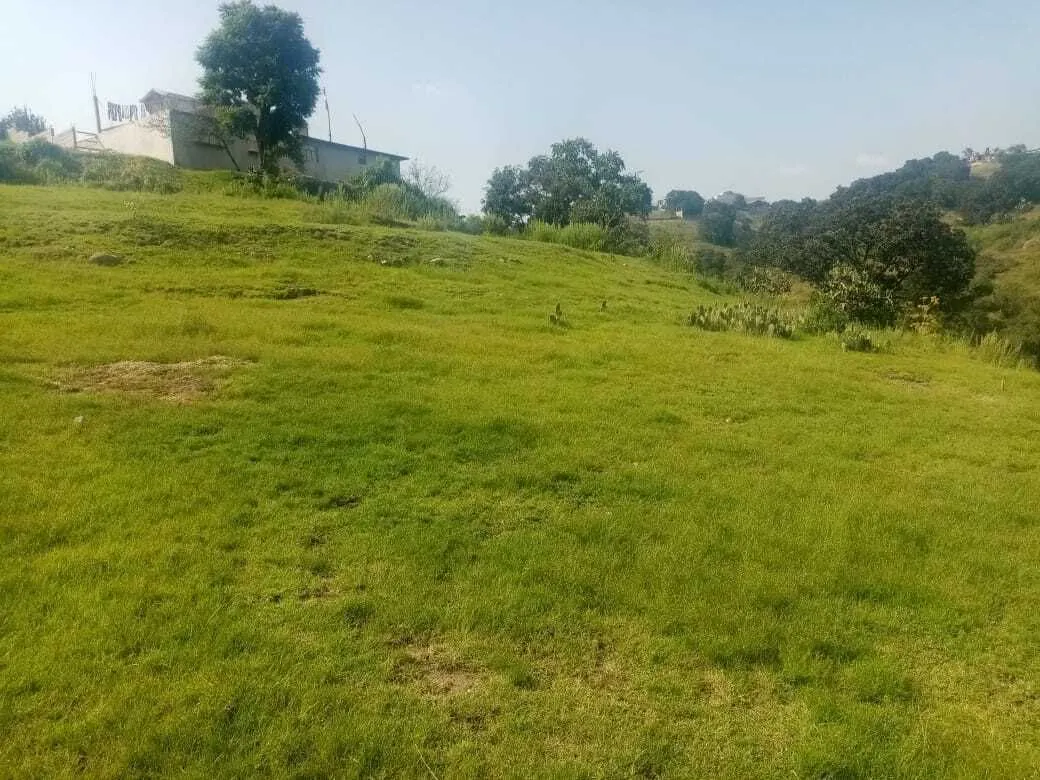 Terreno Spot2