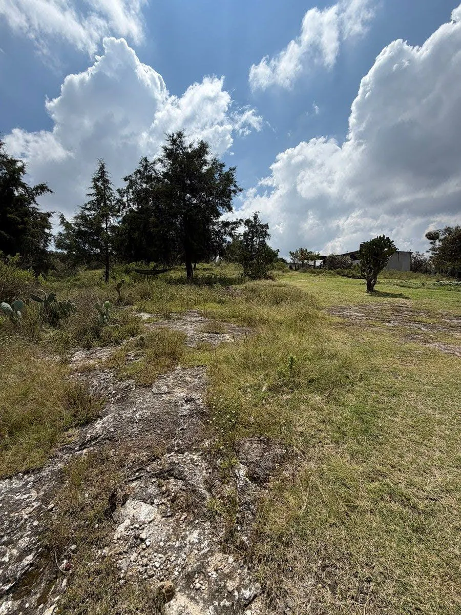 Terreno Spot2
