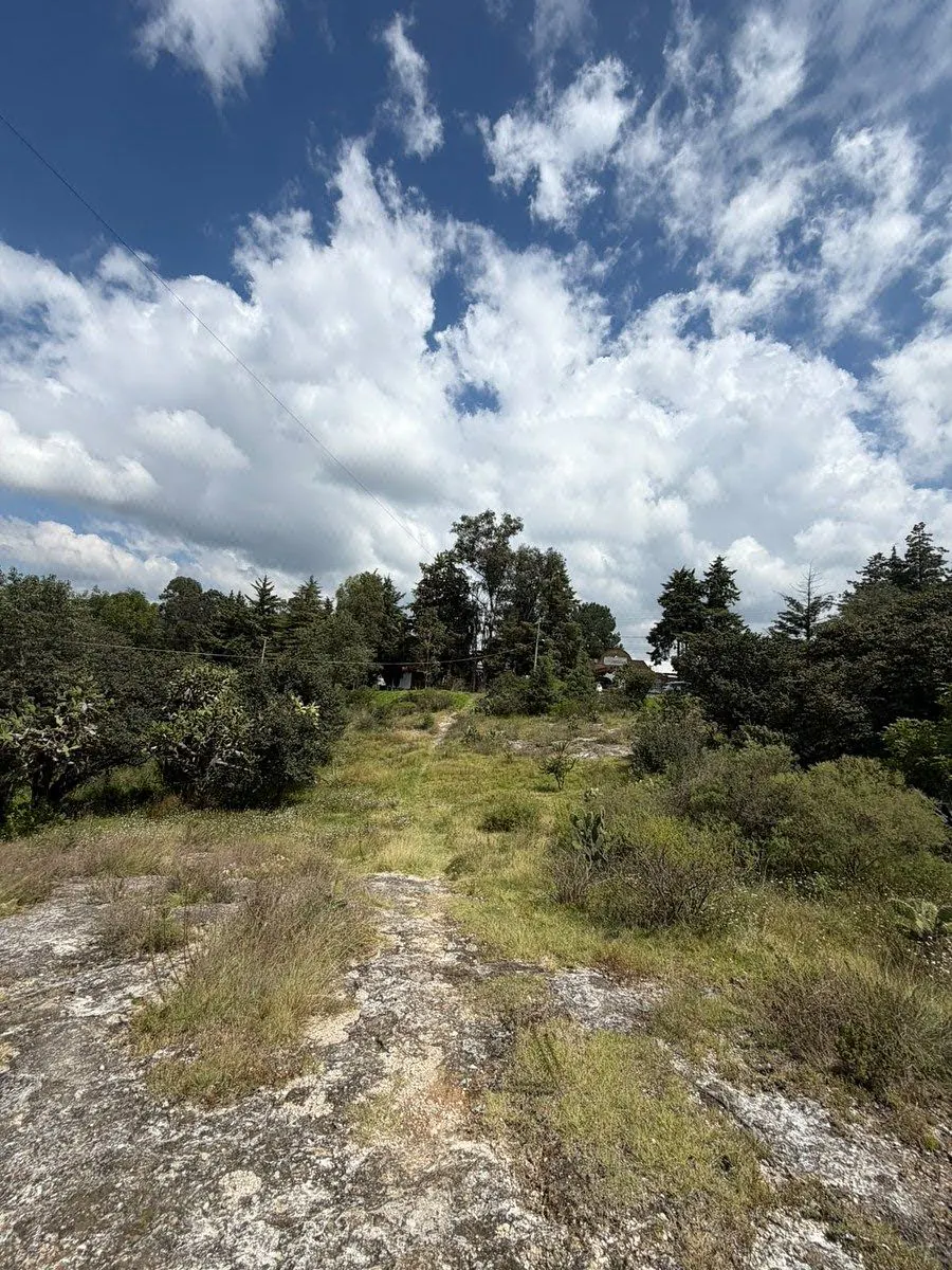Terreno Spot2