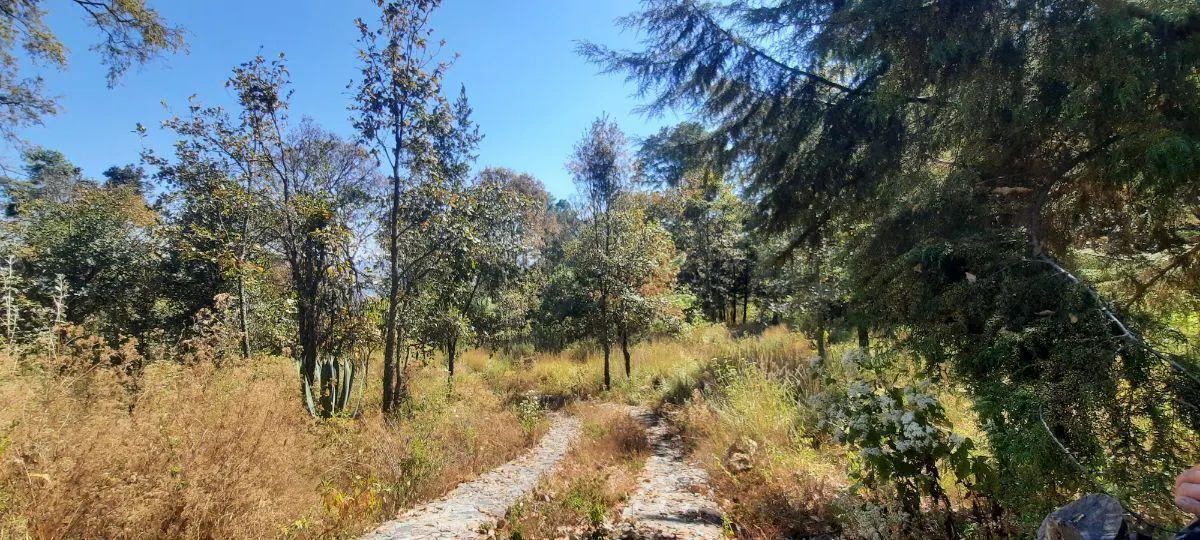 Terreno Spot2