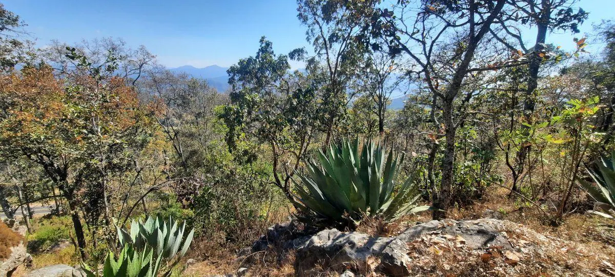 Terreno Spot2