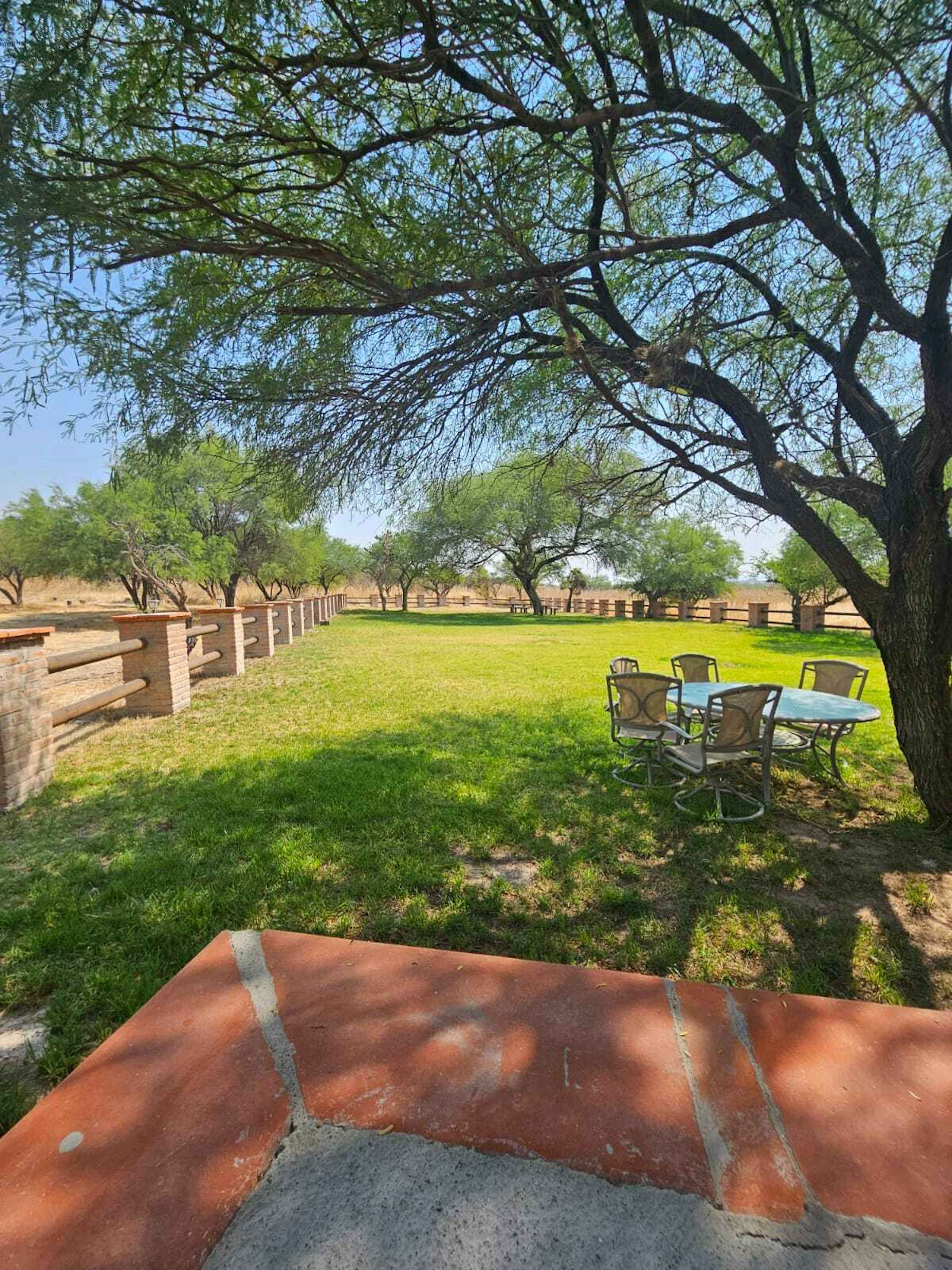 Boulevard Licenciado Adolfo Ruiz Cortines 1342