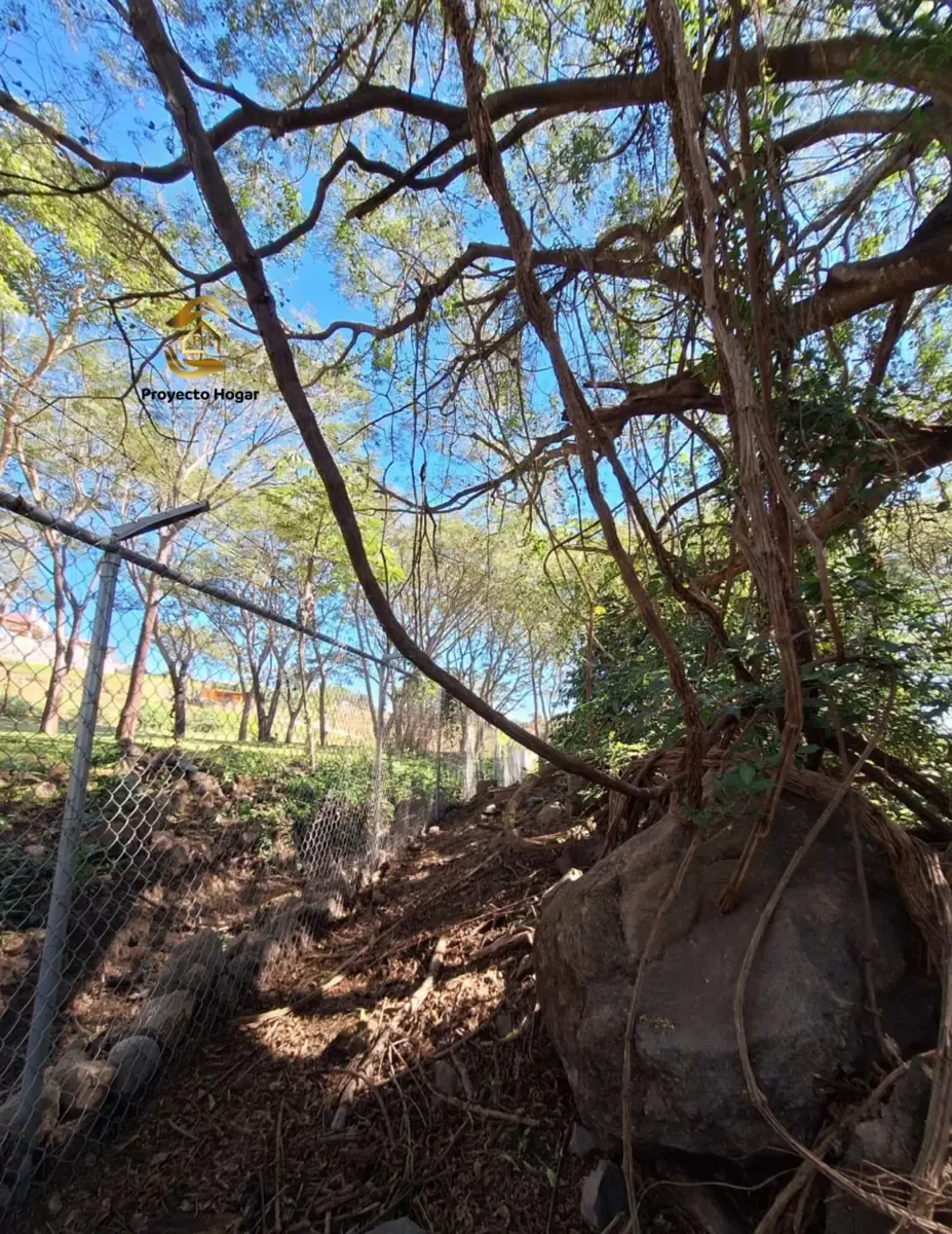 Terreno Spot2