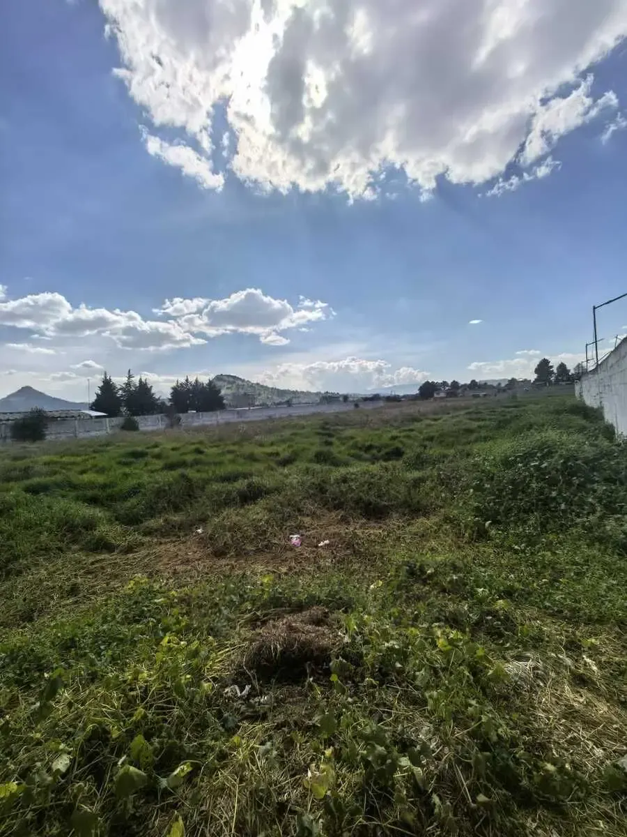 Terreno Spot2