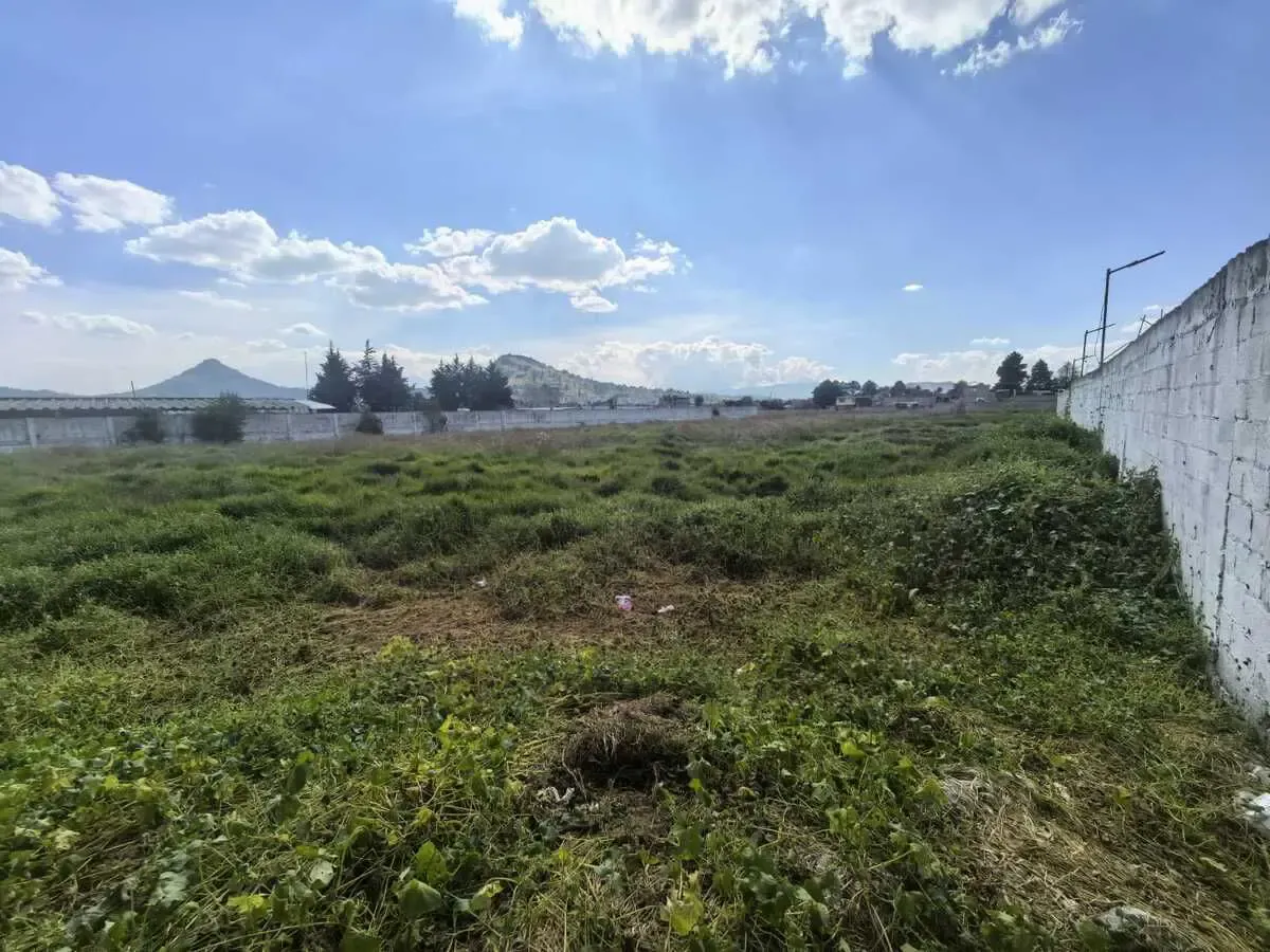 Terreno Spot2