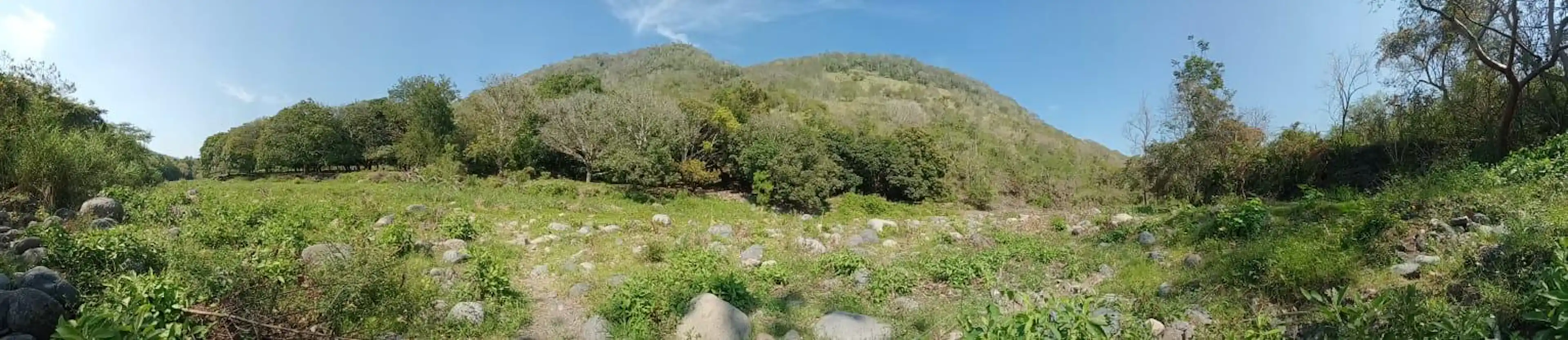 Terreno De 24 Hectáreas En Venta/renta En Actopan. Veracruz.