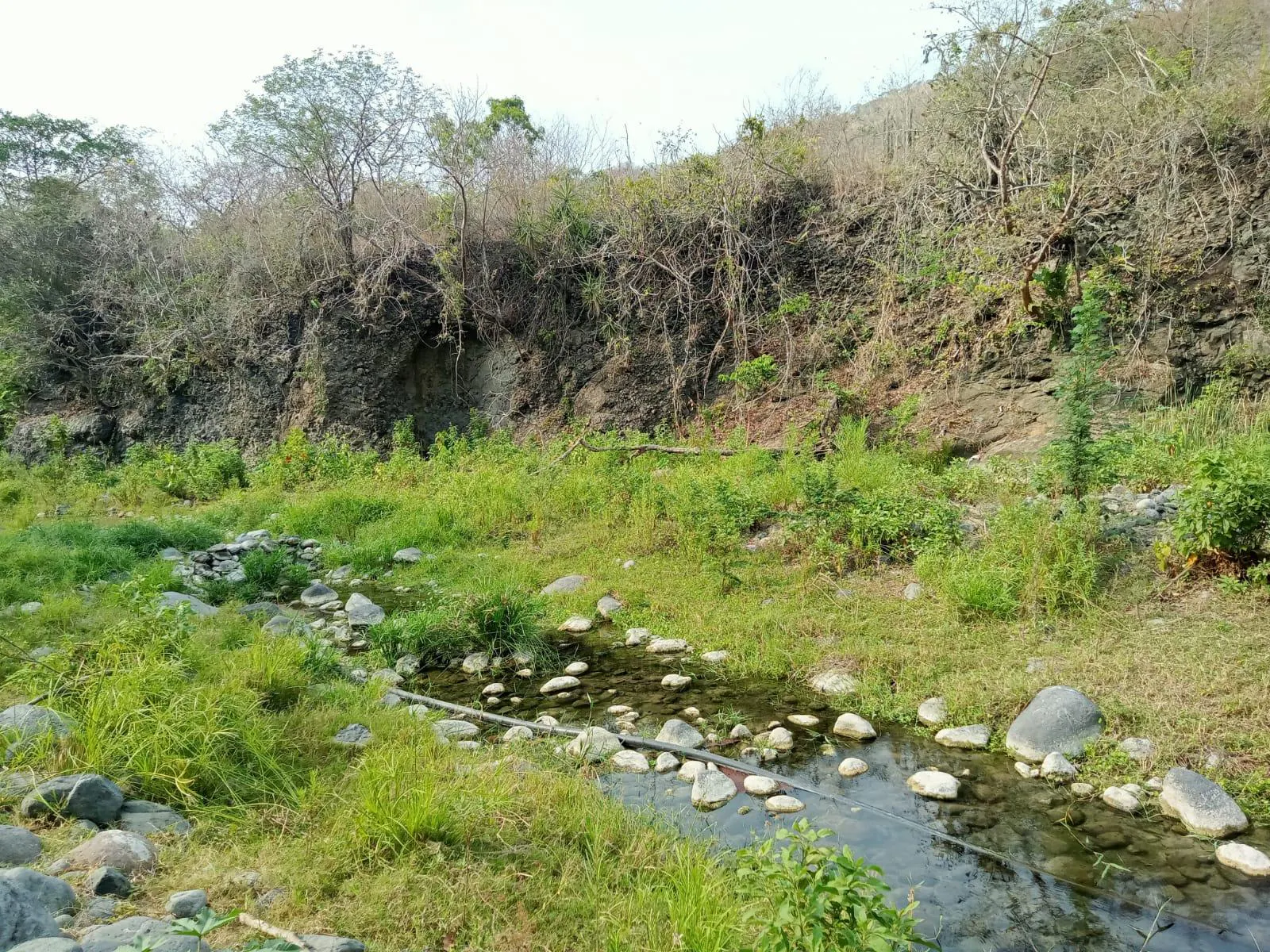 Terreno Spot2