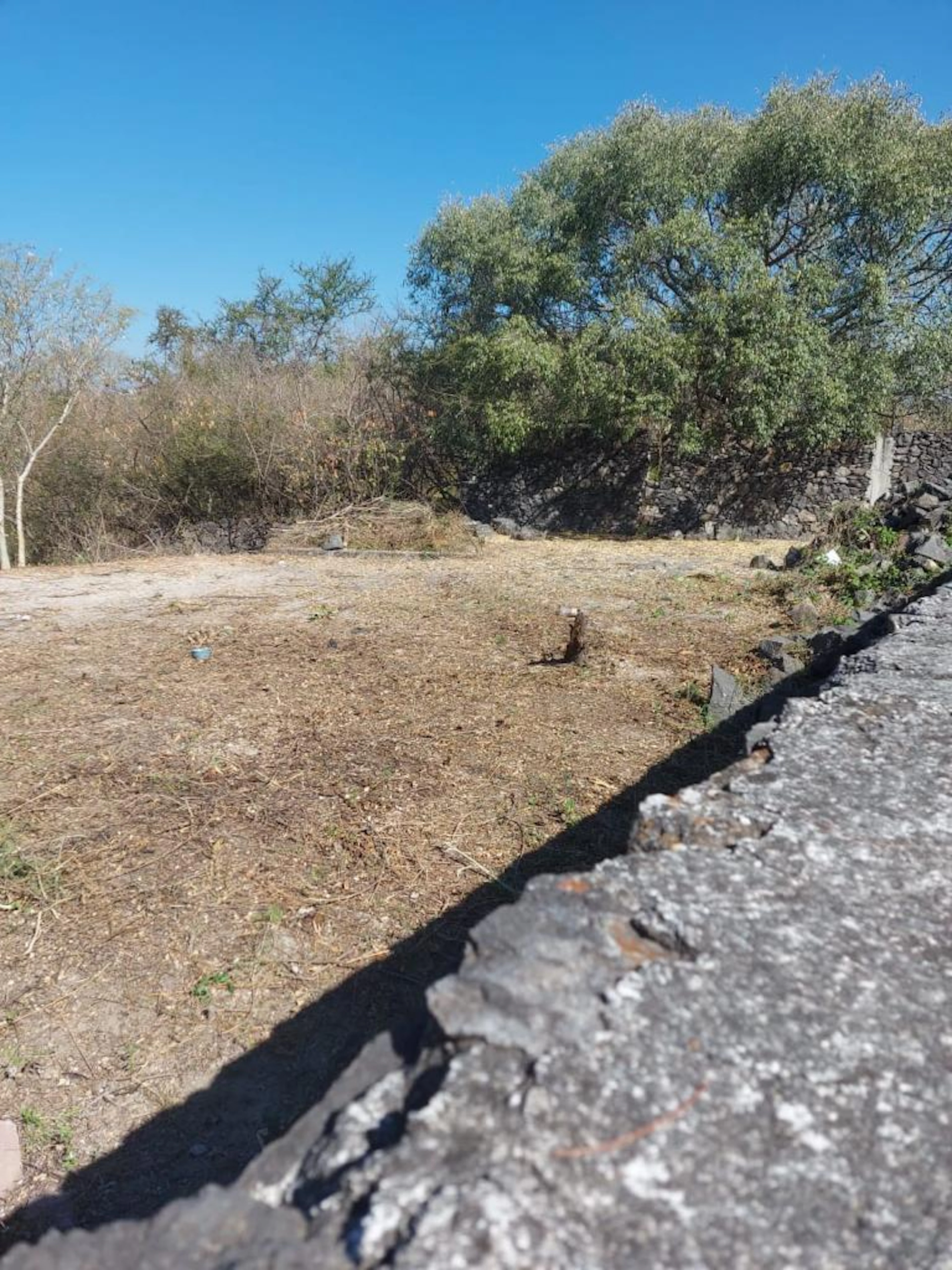 Terreno Spot2
