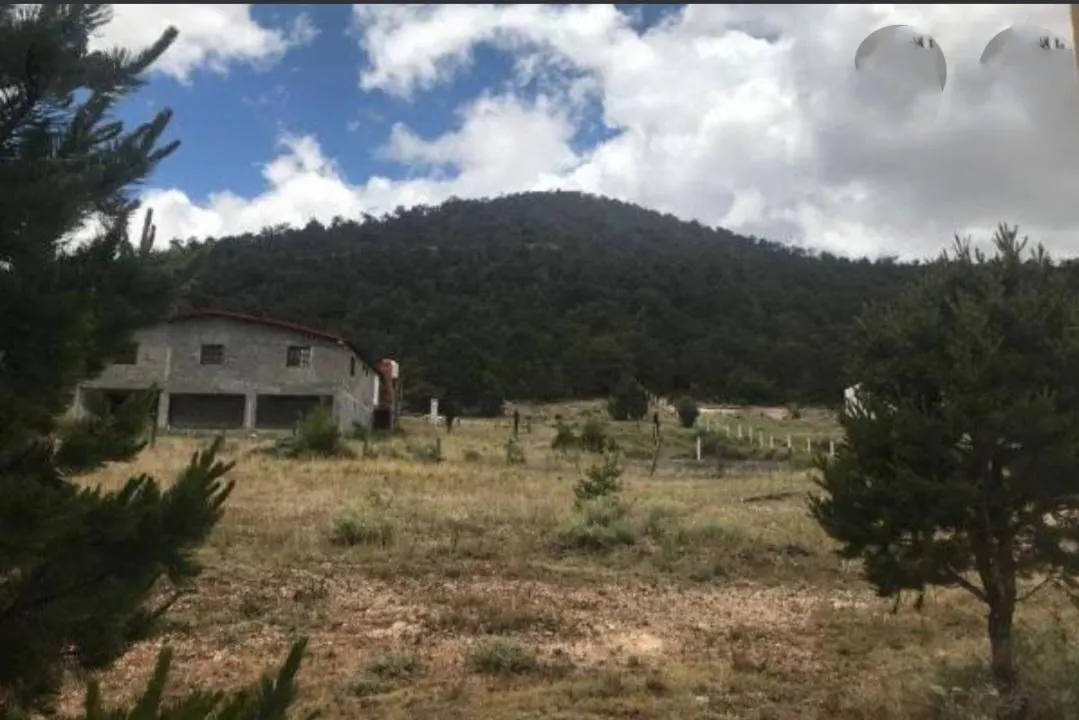 Terreno Spot2