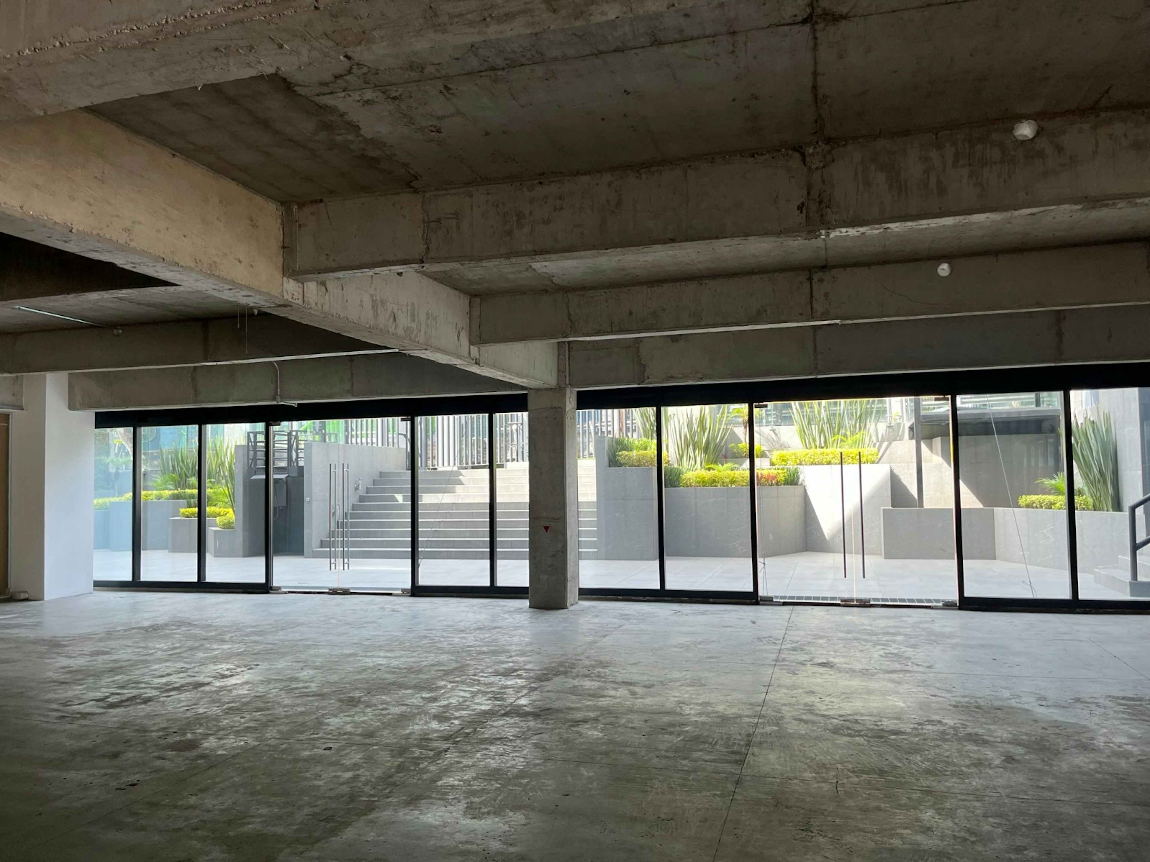 Avenida Insurgentes Sur 3838