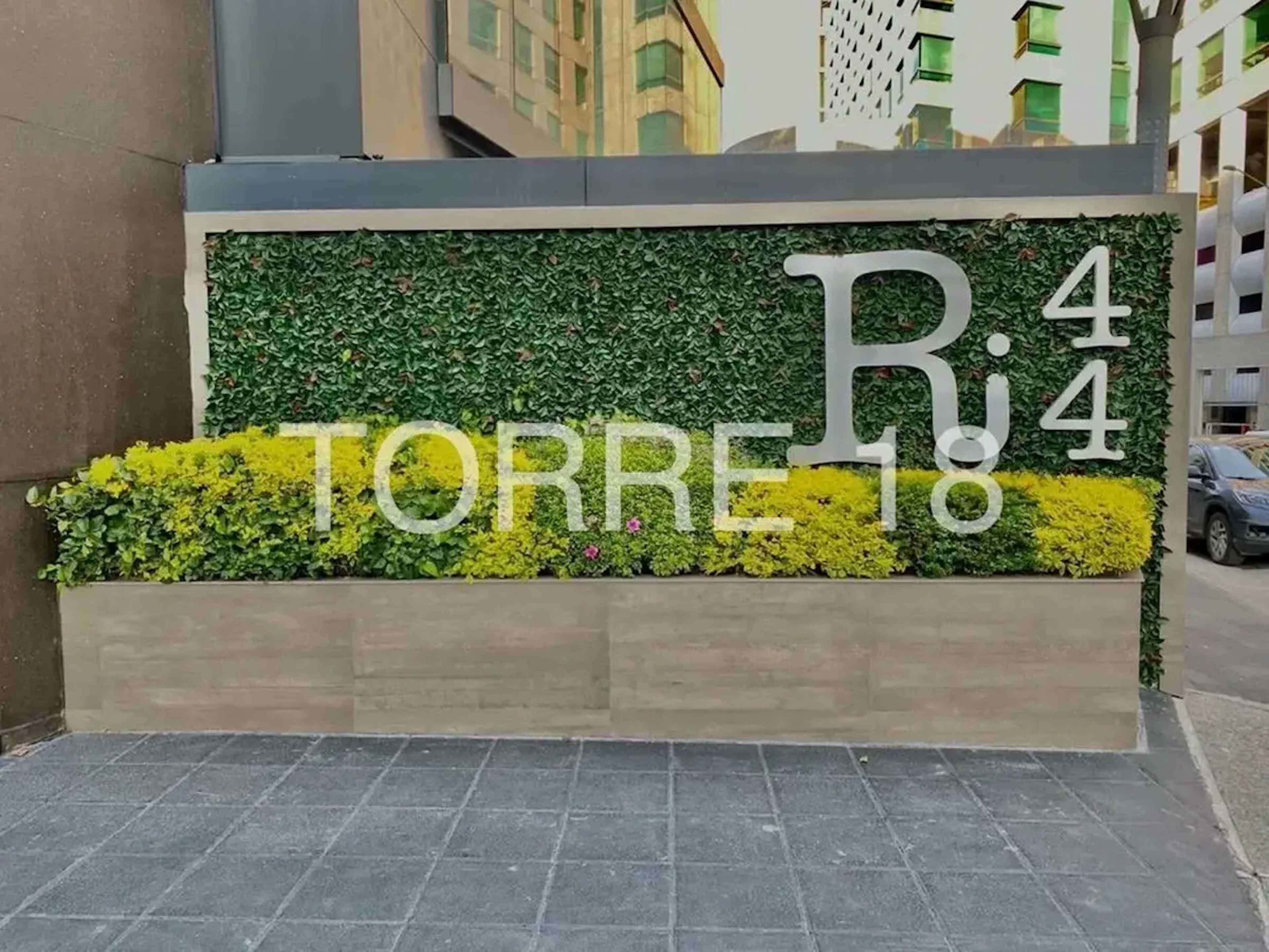 Bosque De Radiatas 42