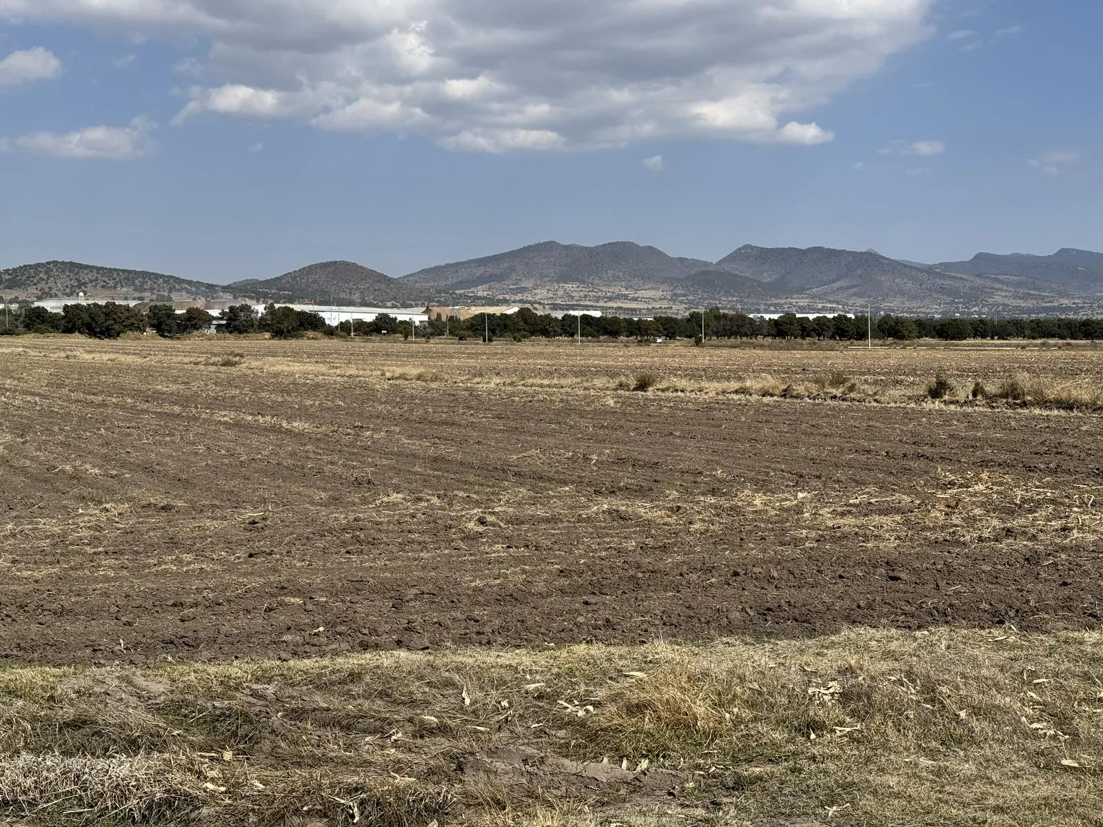 Terreno Spot2