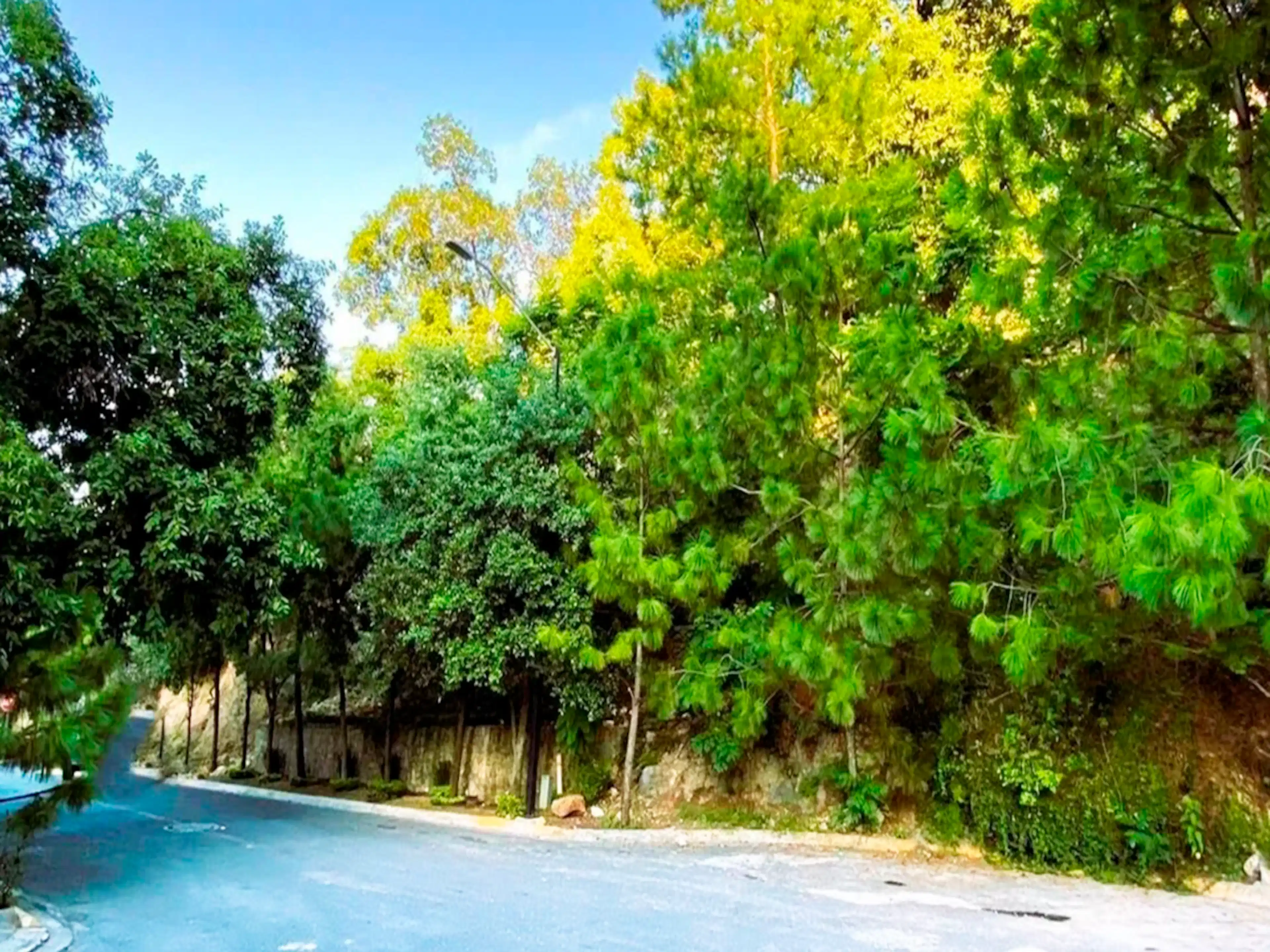 Terreno En Venta En Colinas De San Ángel, San Pedro Garza García