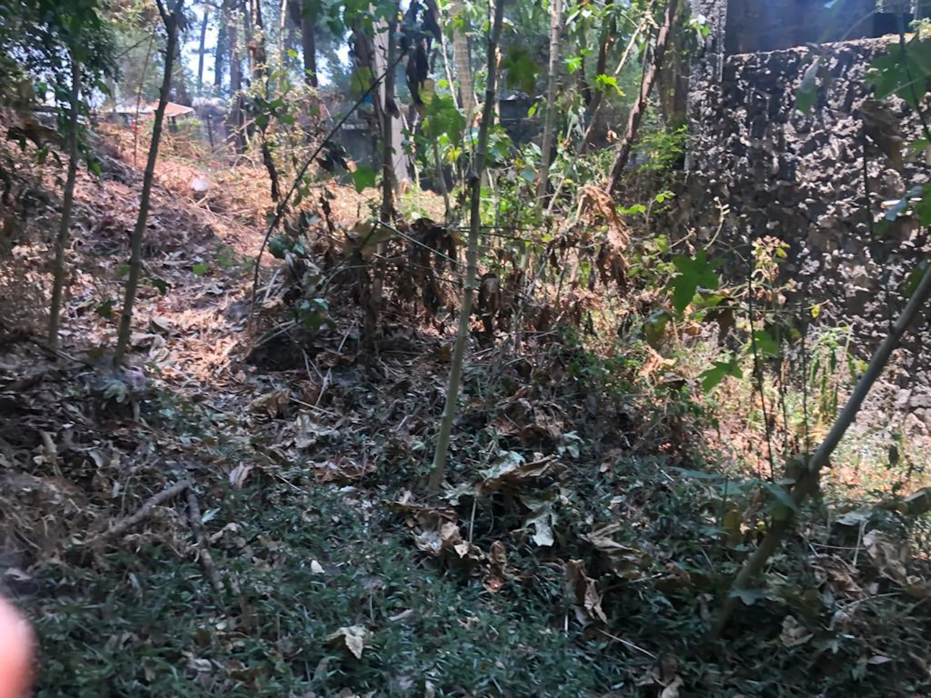 Terreno - Del Bosque