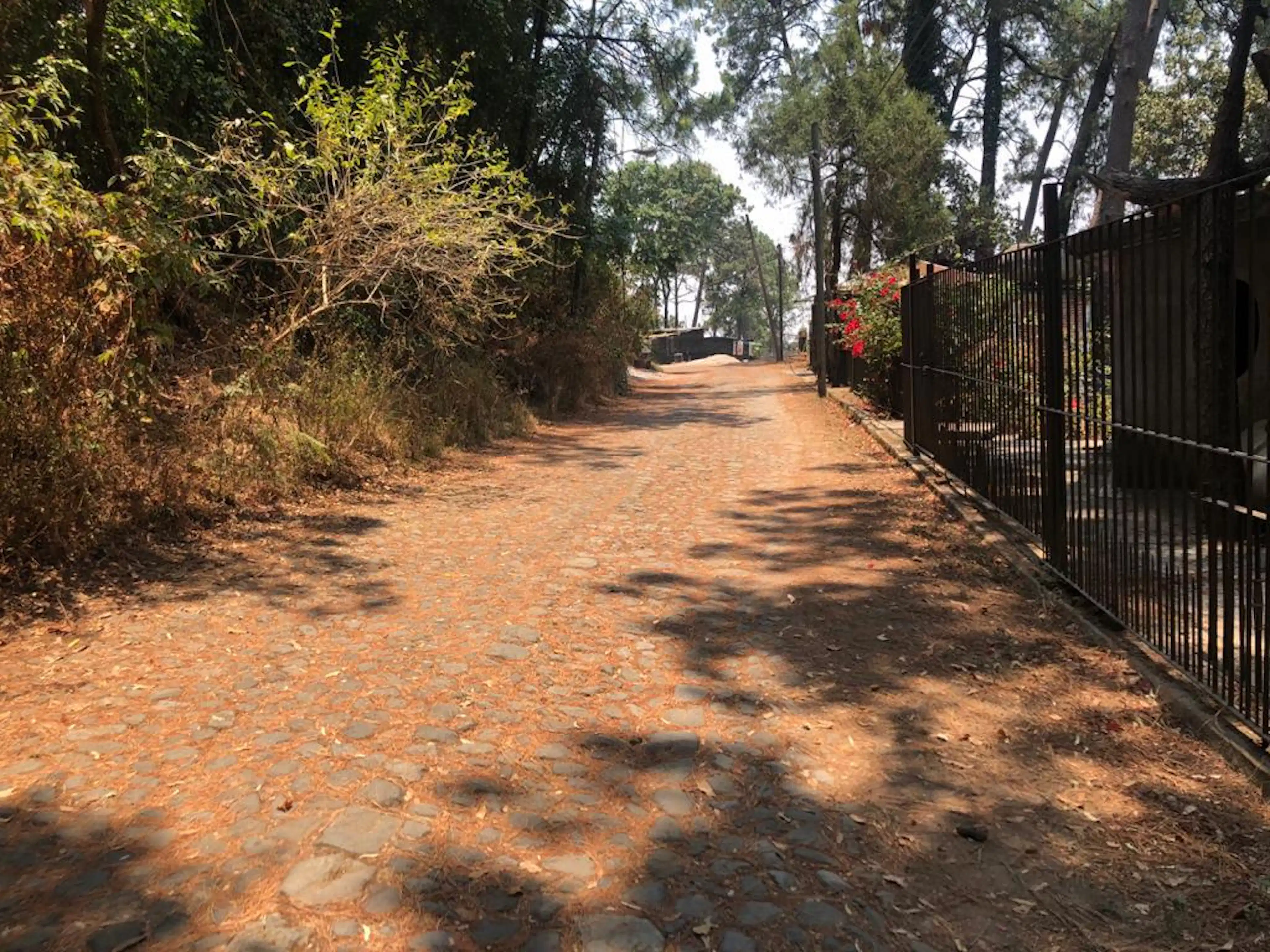 Terreno - Del Bosque