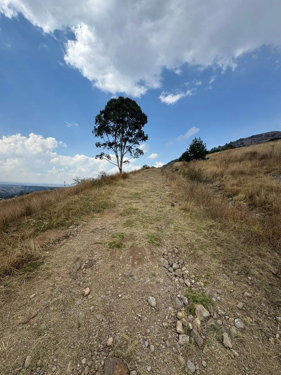 Terreno Spot2