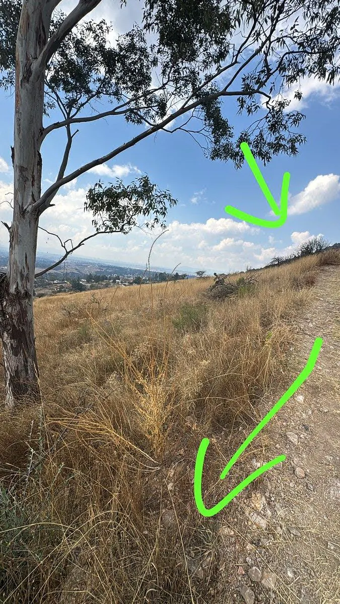 Terreno Spot2