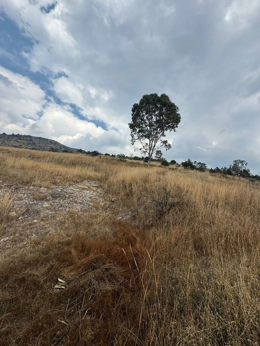 Terreno Spot2