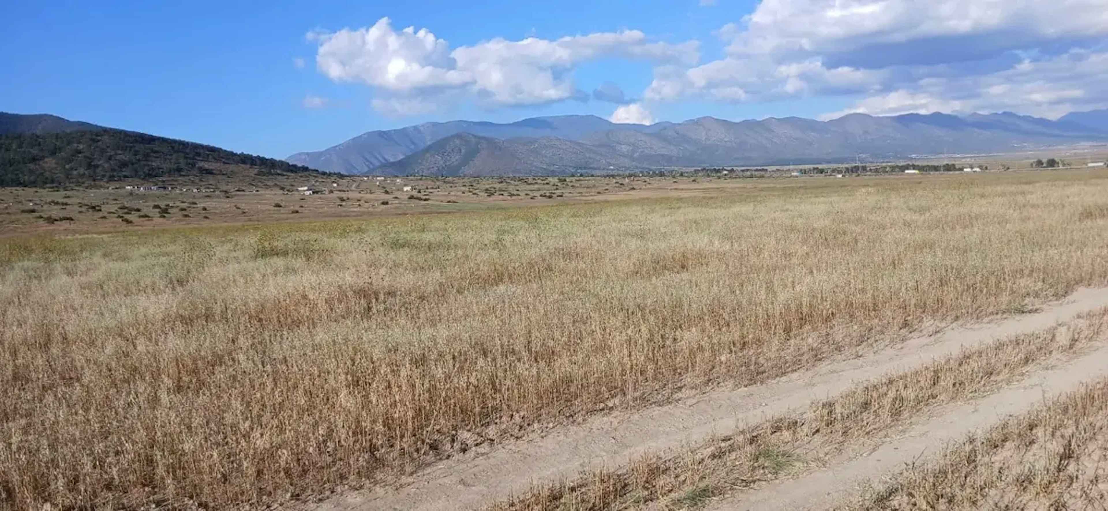 Terreno En Venta En Los Llanos, Arteaga, Coahuila De Zaragoza