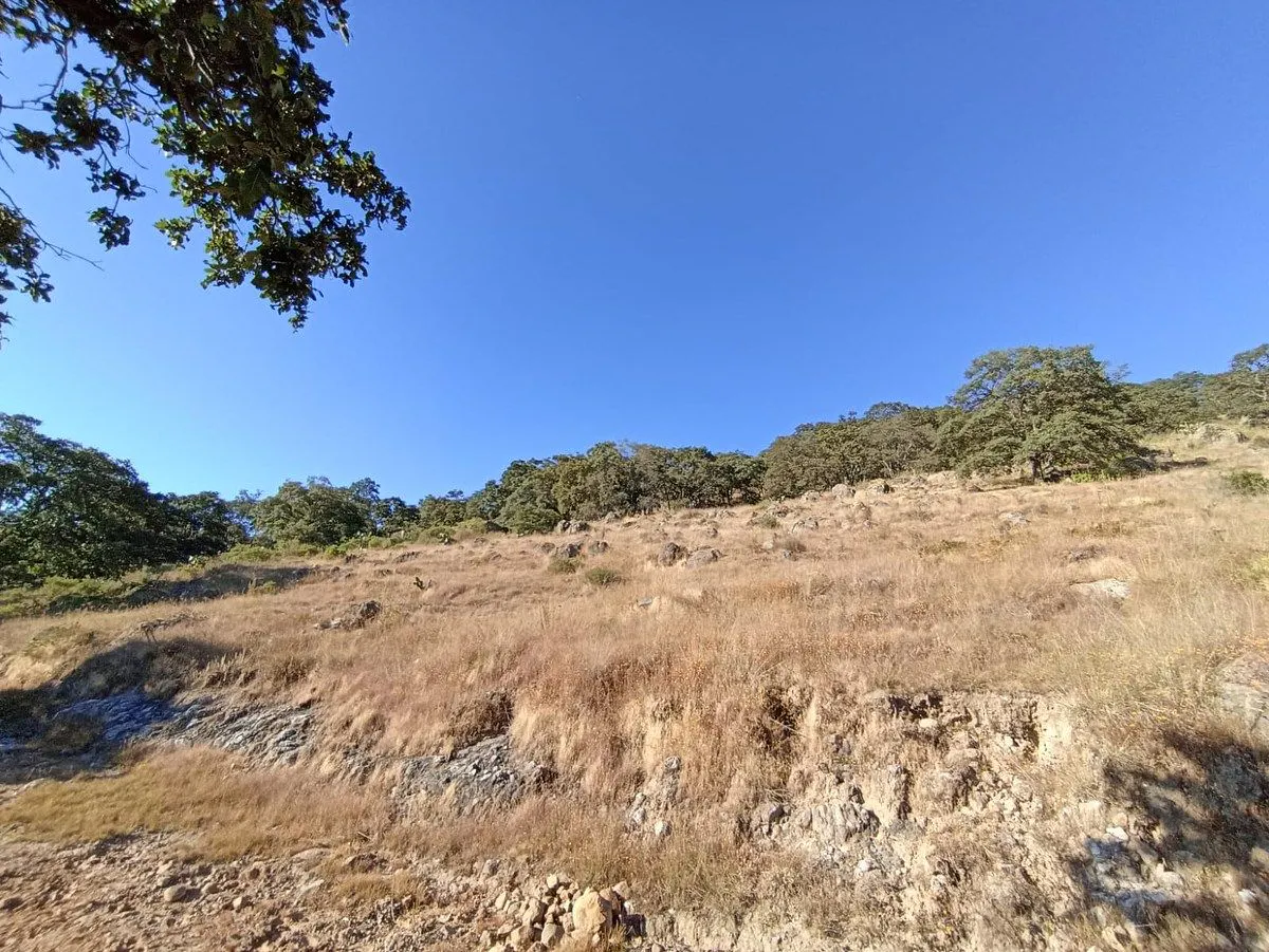 Terreno Spot2