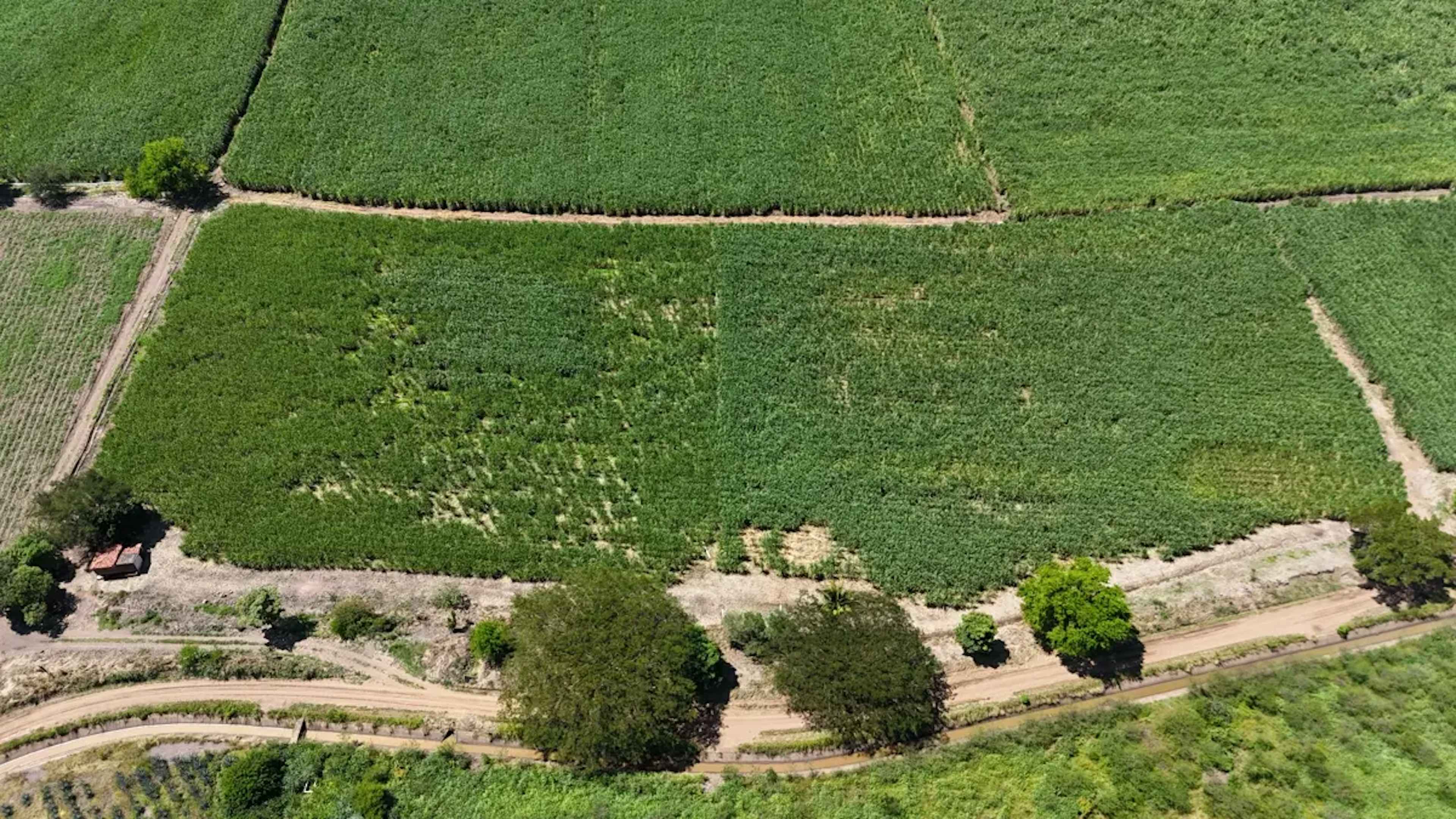 Terreno En Venta En El Limon, El Limón, Jalisco