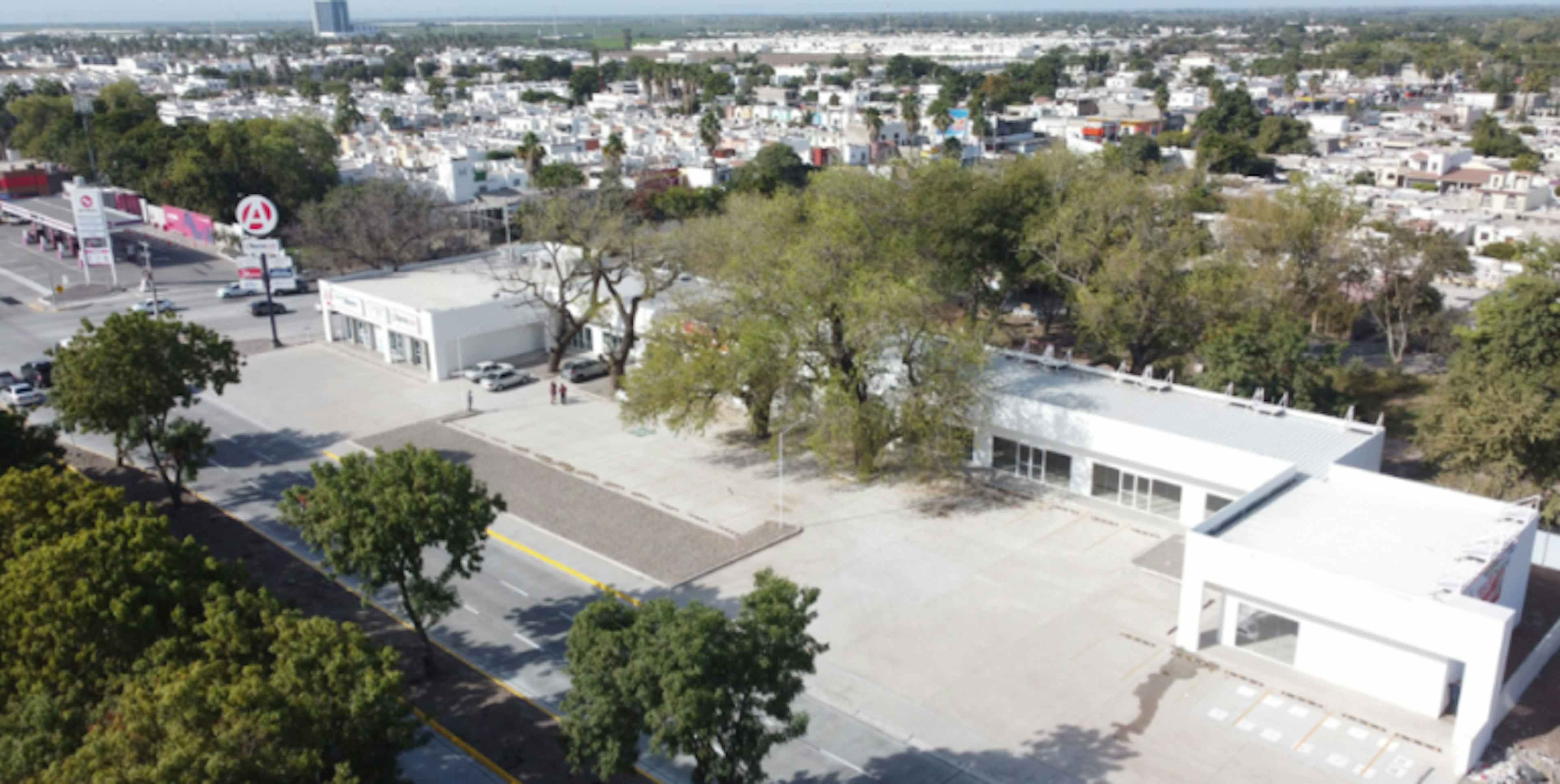 Antonio Rosales, Los Mochis