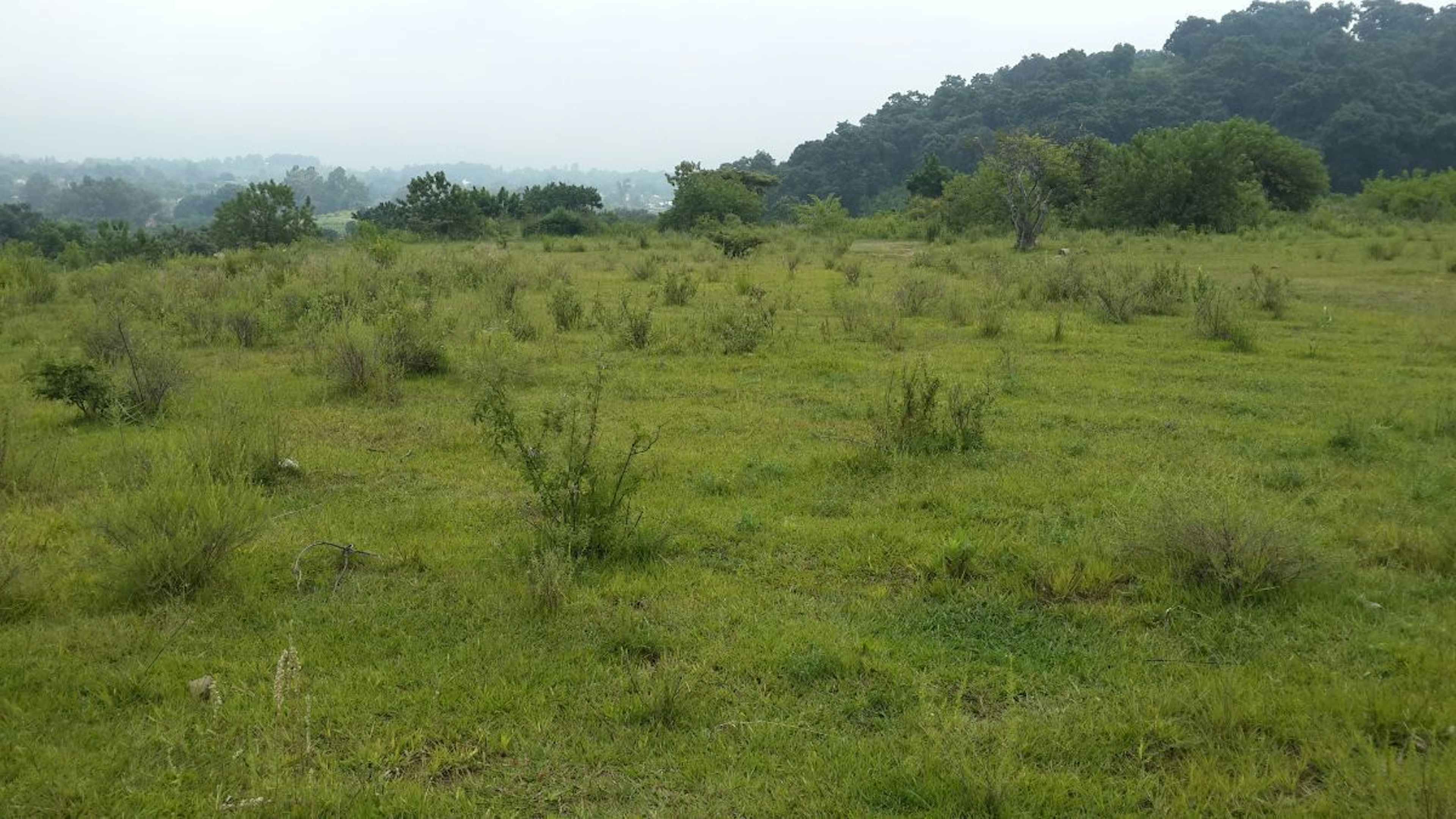 Sor Juana Inés De La Cruz 3