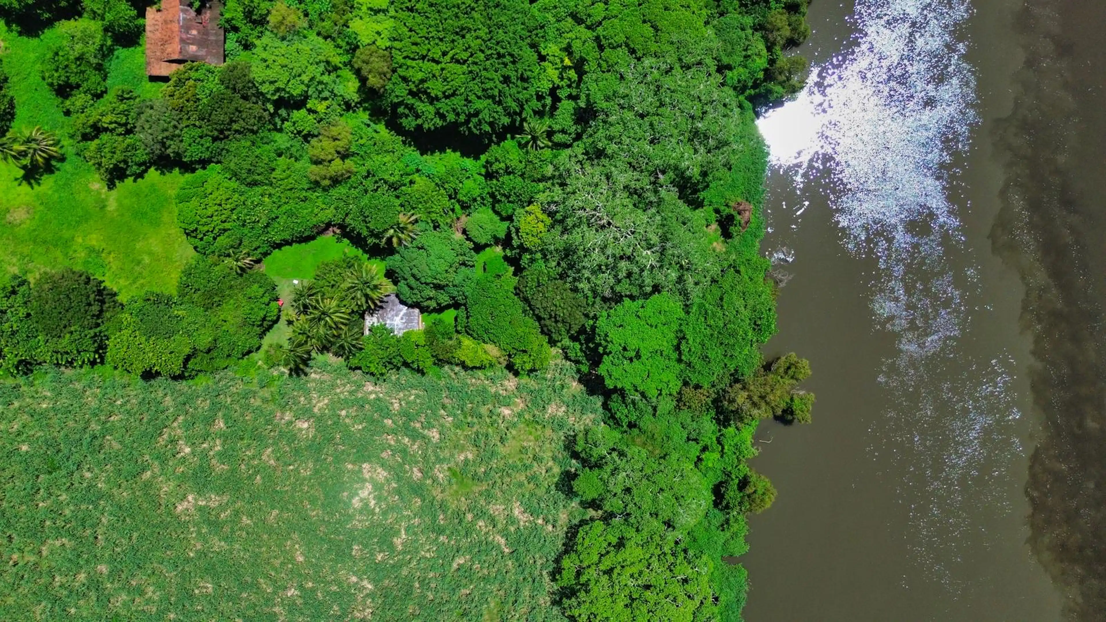Terreno En Venta En La Antigua Veracruz Con Acceso Directo A Rio La Antigua