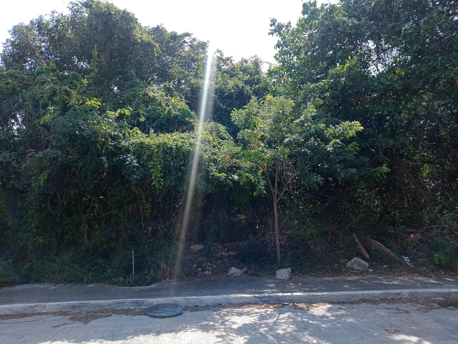 Terreno Spot2
