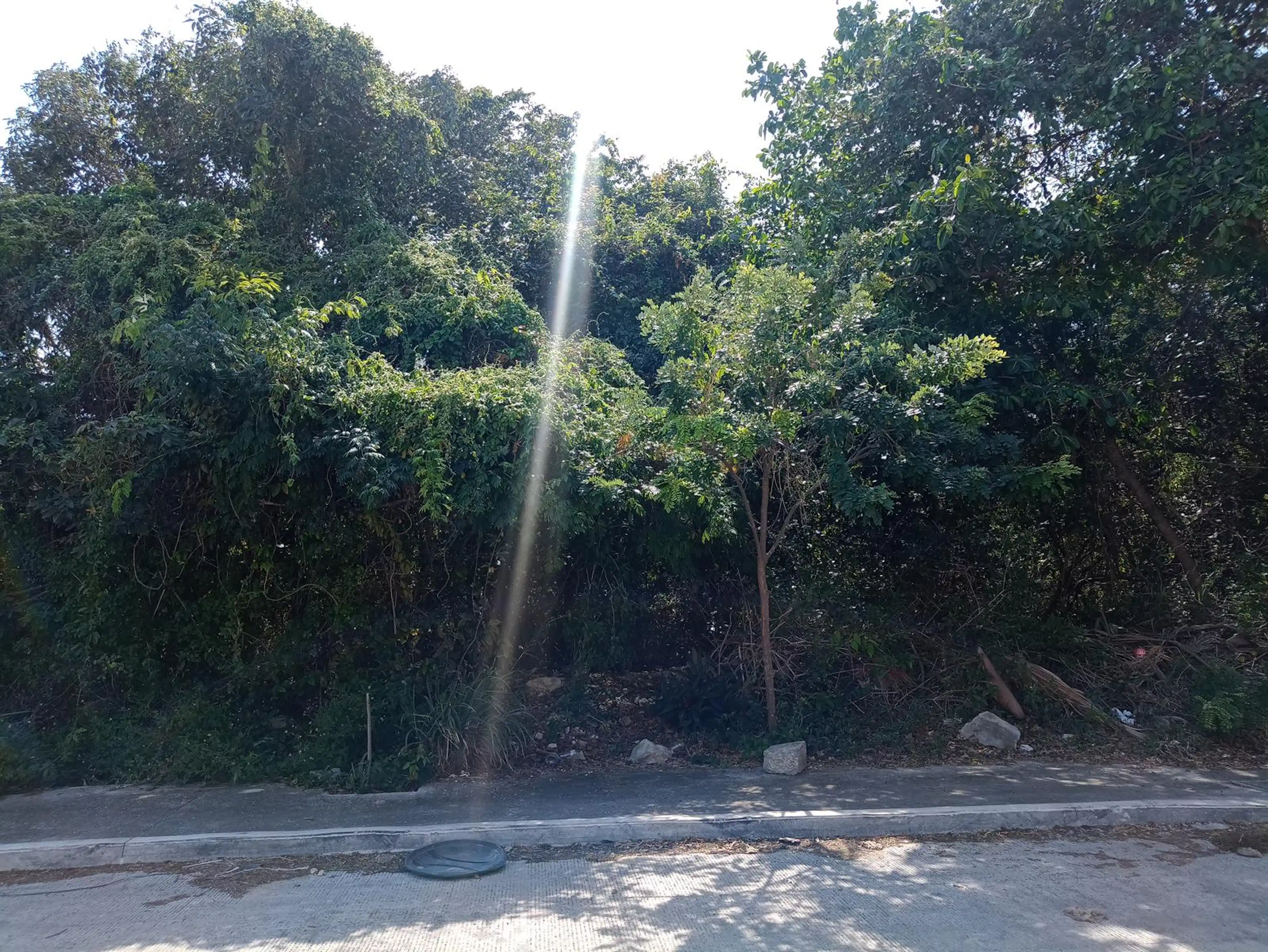 Terreno En Venta O  Renta En Ejido Sur Playa Del Carmen C3898