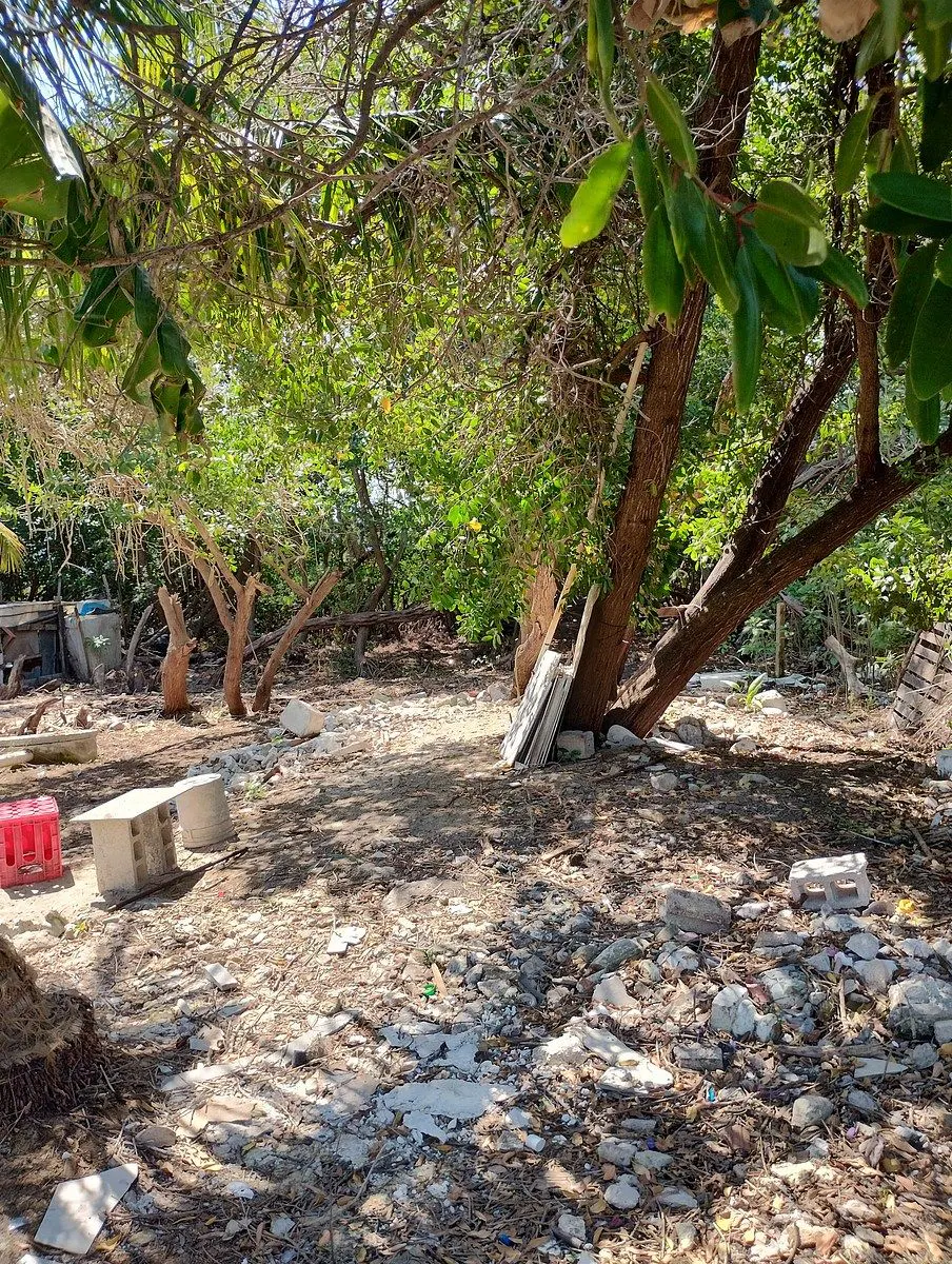 Terreno Spot2