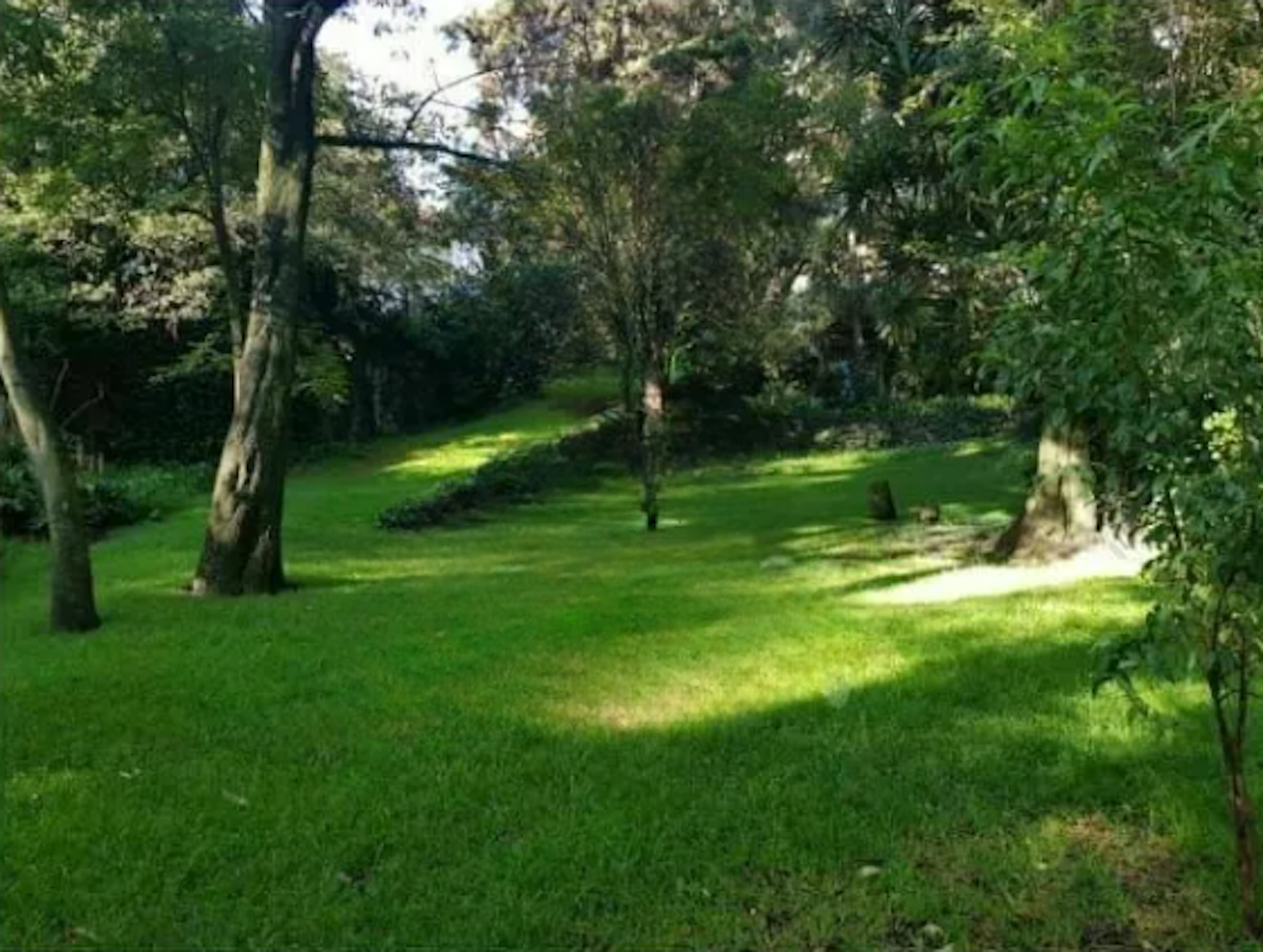 Spot image 0