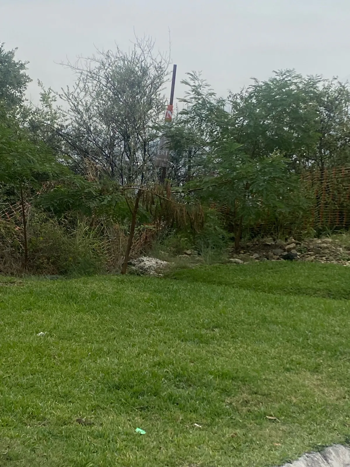 Terreno Spot2