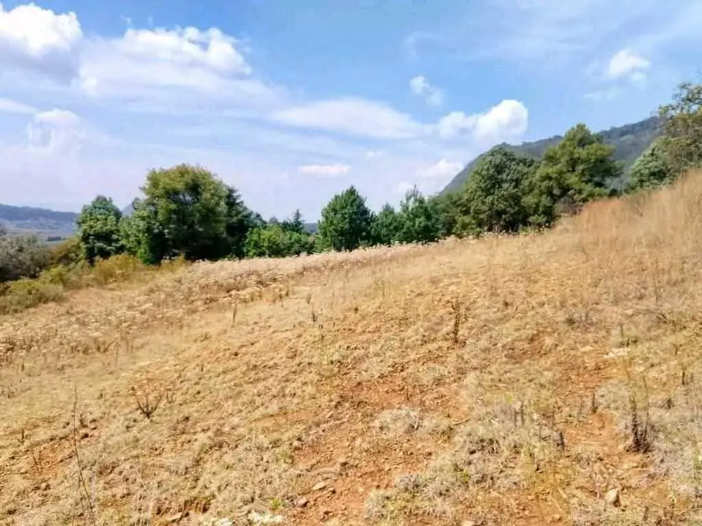 Terreno Spot2