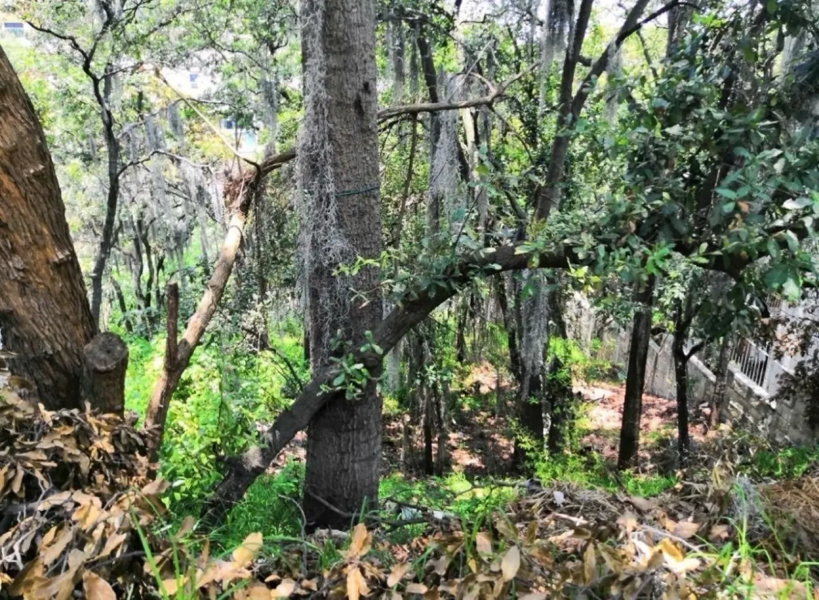 Terreno Spot2
